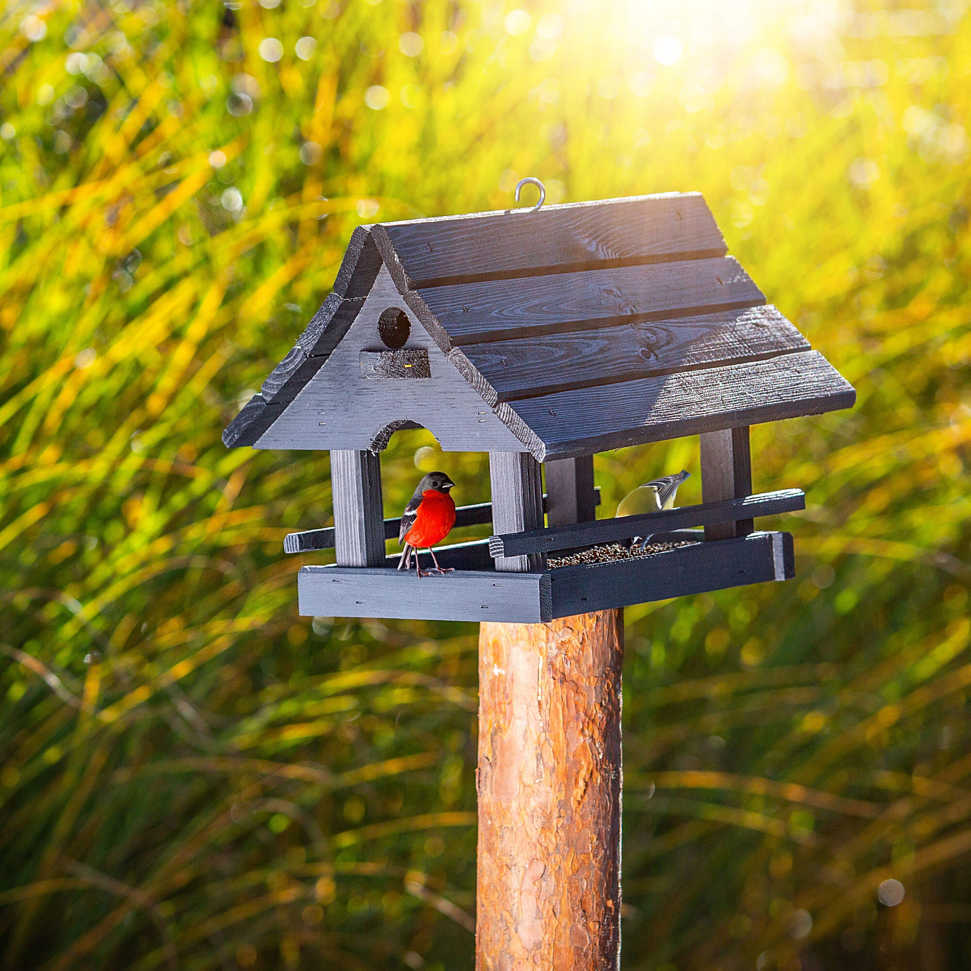 Karmnik dla ptaków Arbis domek 30 x 25 cm antracytowy