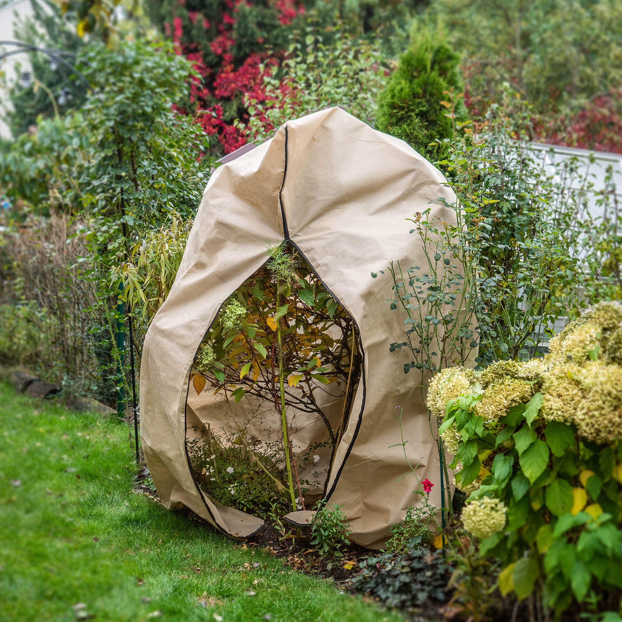 Kaptur ochronny na rośliny Vatan ze ściągaczem 2 x 2.4 m 80 g/m² beżowy 1 szt.