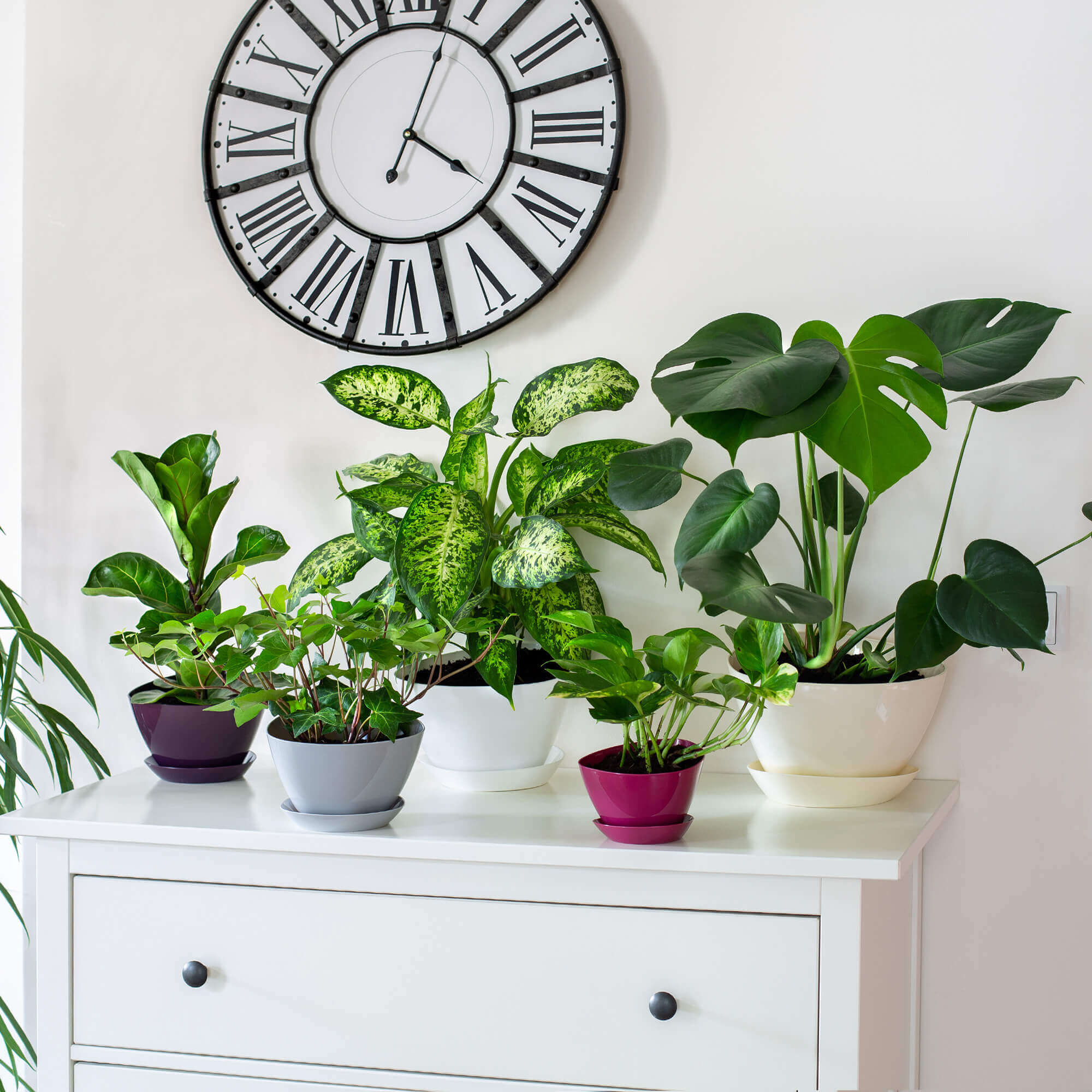 Doniczka trójkątna z podstawką 14 x 10 cm, szara