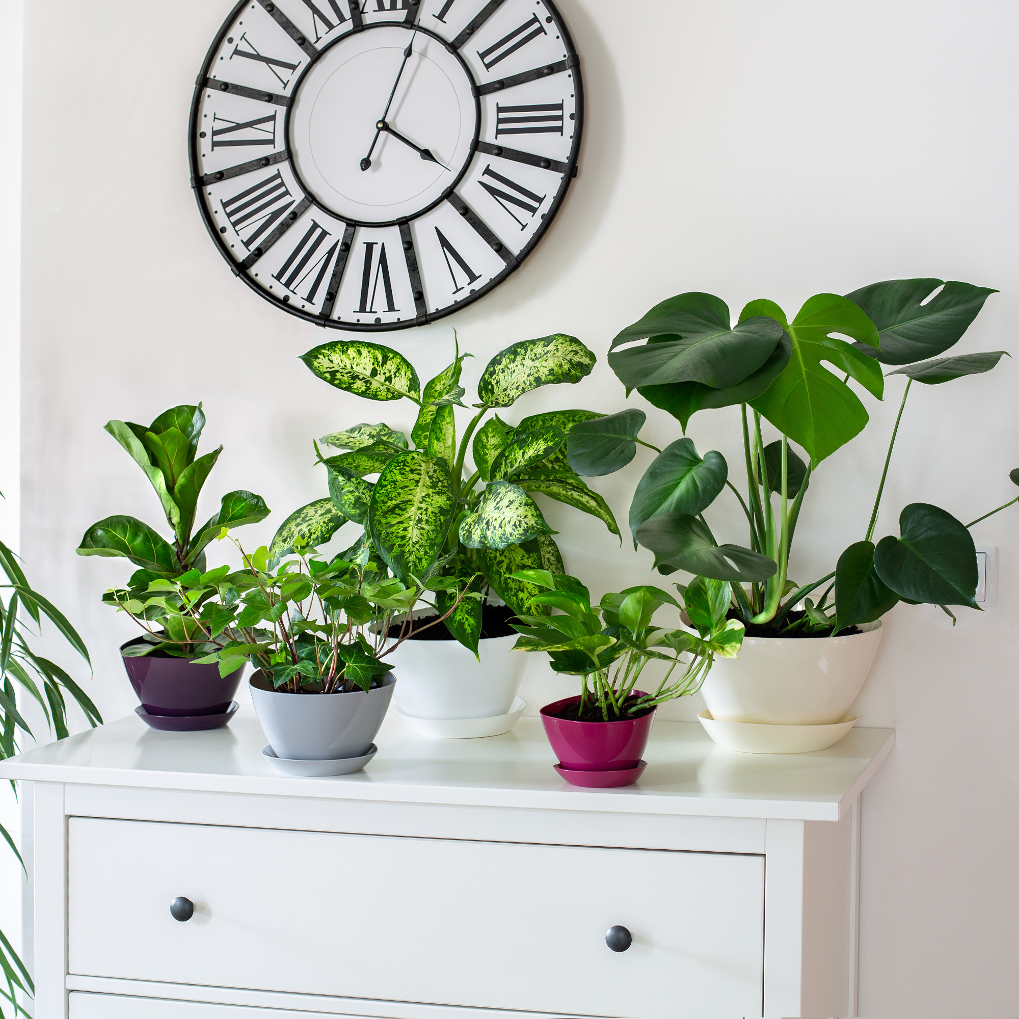 Doniczka trójkątna z podstawką 18 x 12 cm, szara