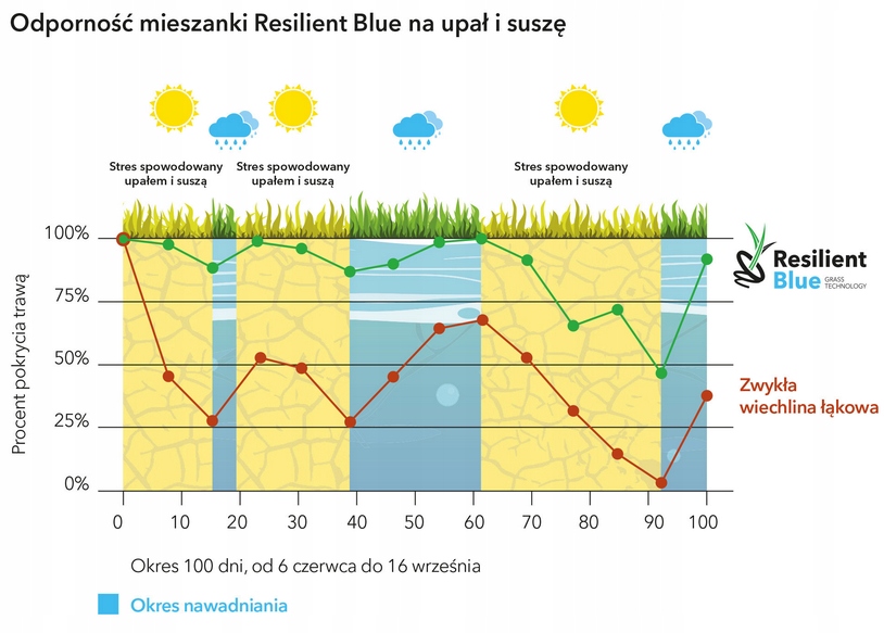 Trawa odporna na suszę Barenbrug Resilent Blue Lawn 5kg