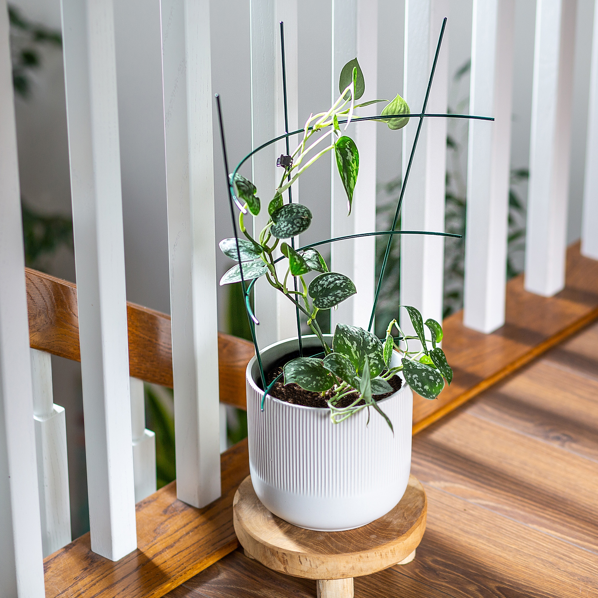 Podpora doniczkowa do roślin zielona Chieti, 3 szt.