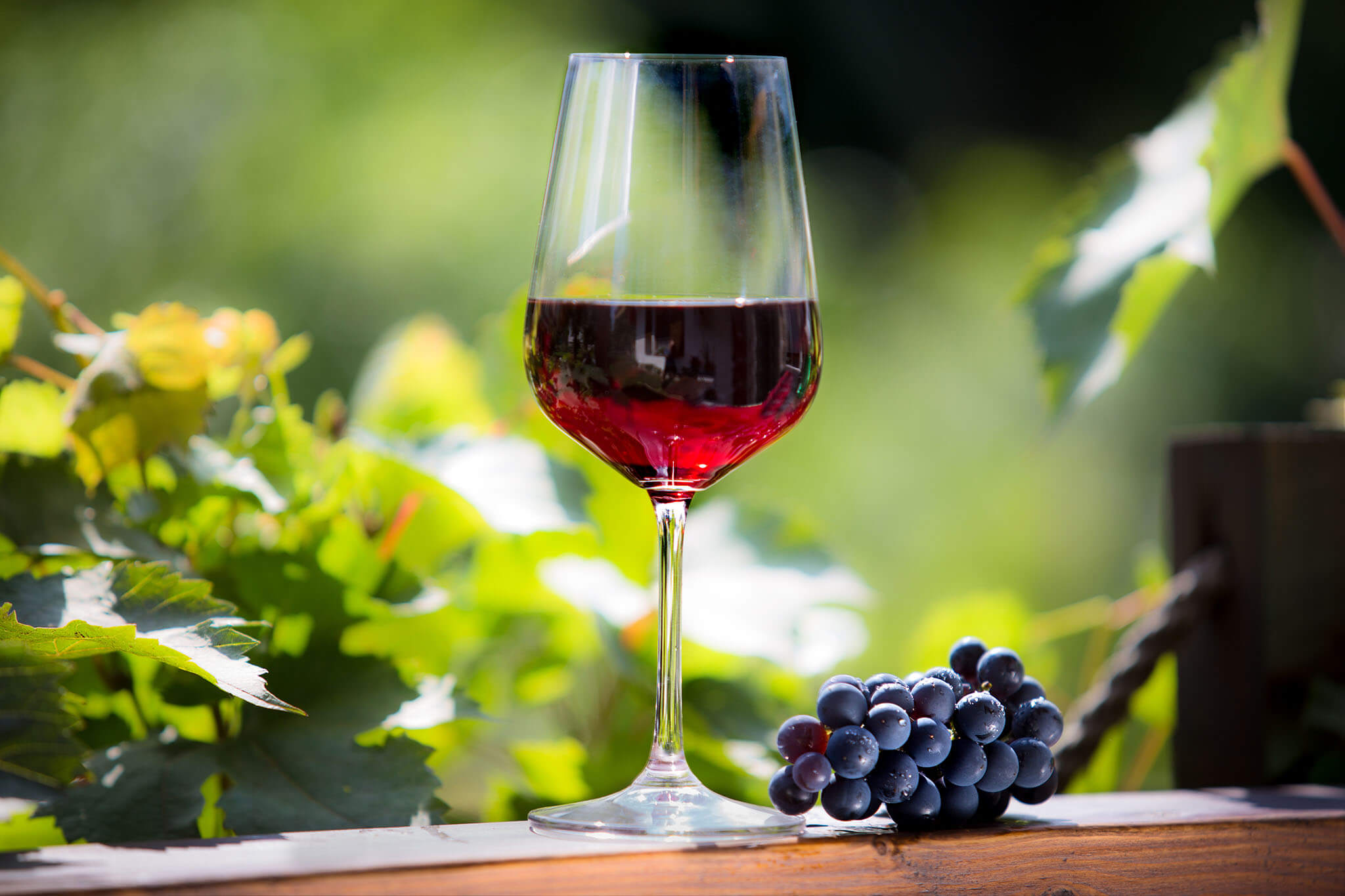 Kieliszki do czerwonego wina Fano 450 ml, 6 szt.