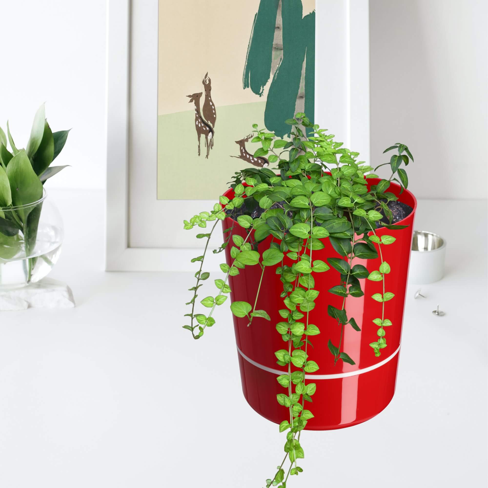 Doniczka na kwiaty okrągła Chisa 25 cm, czerwona