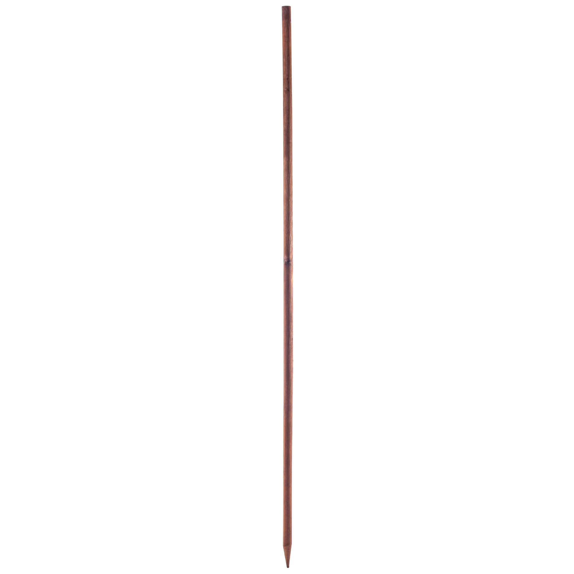 Podpora do roślin drewniana Tarup palik 28 mm x 180 cm 20 szt.