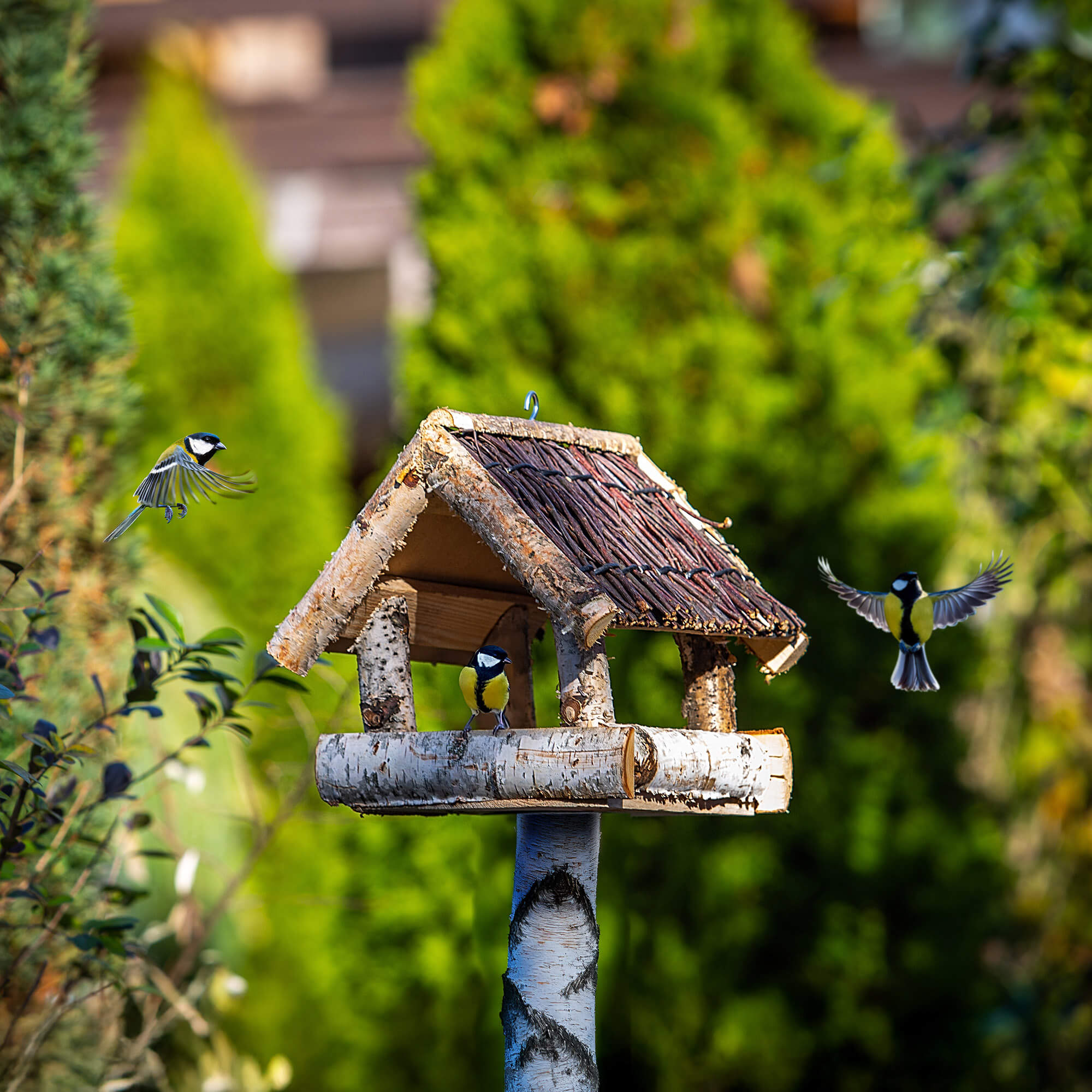 Karmnik dla ptaków z brzozy Revel 26 x 25 cm