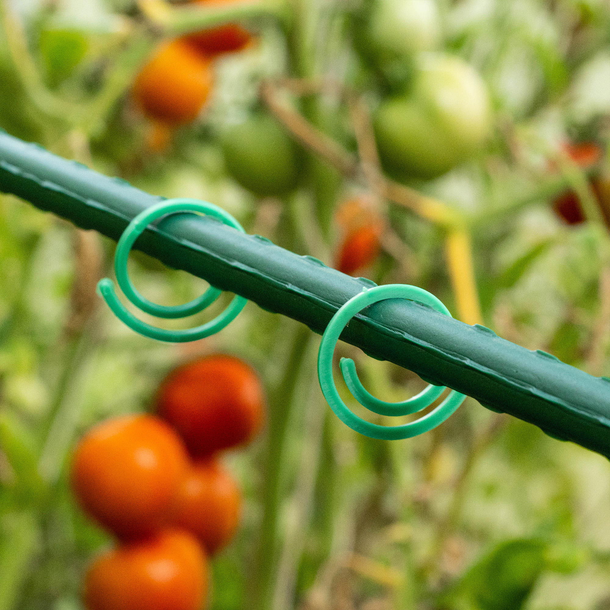 Zapinki do mocowania roślin Vionati zielony 50szt