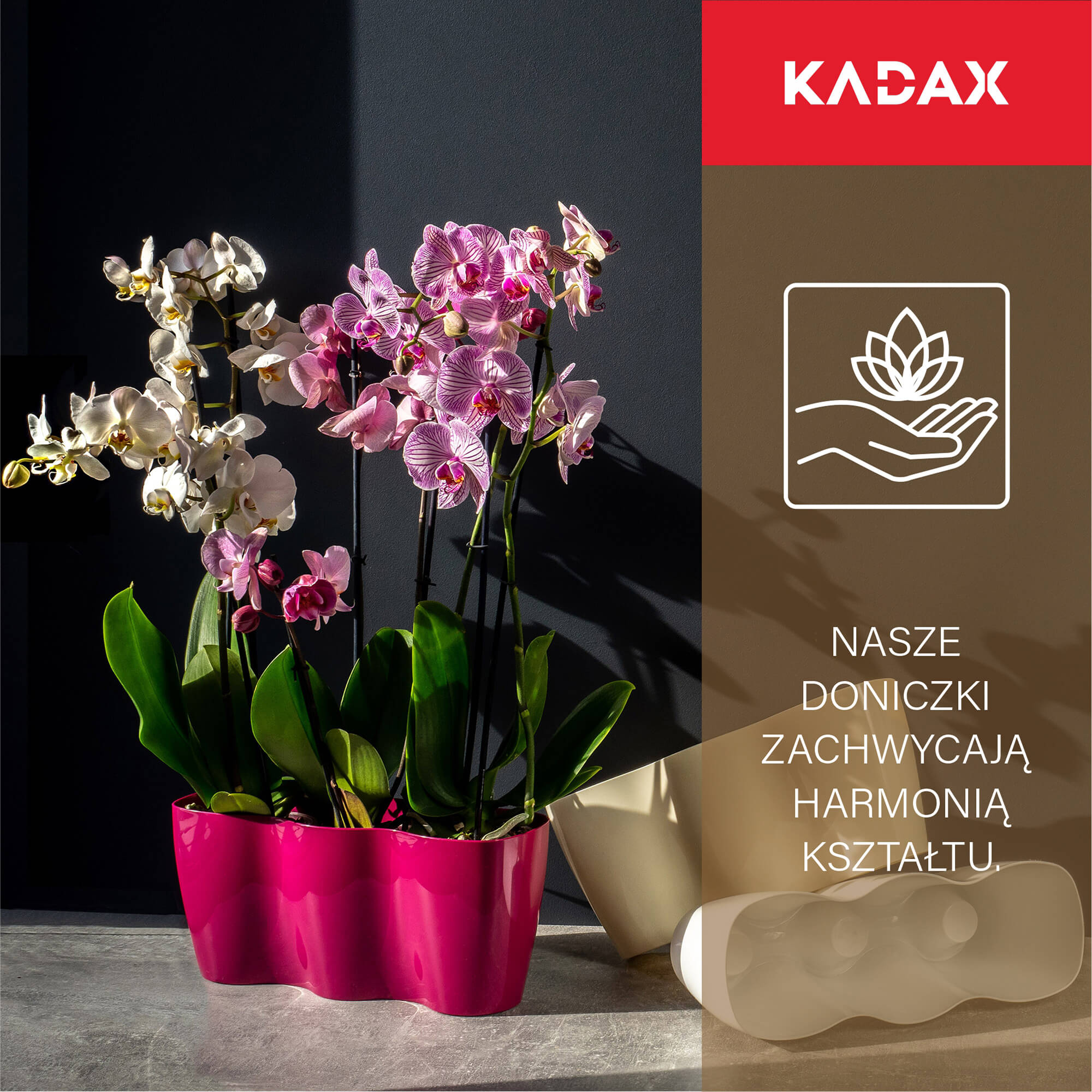 Doniczka do storczyków potrójna Fermo 35 x 12 cm, kremowa