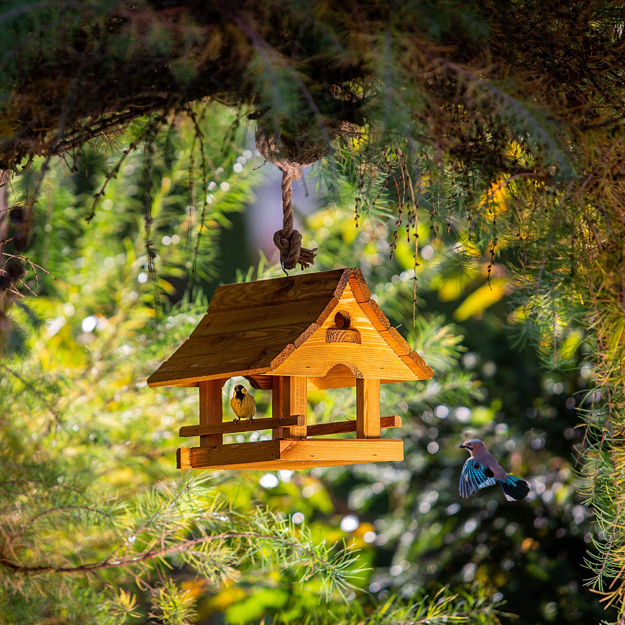 Karmnik dla ptaków Arbis domek 30 x 25 cm naturalny