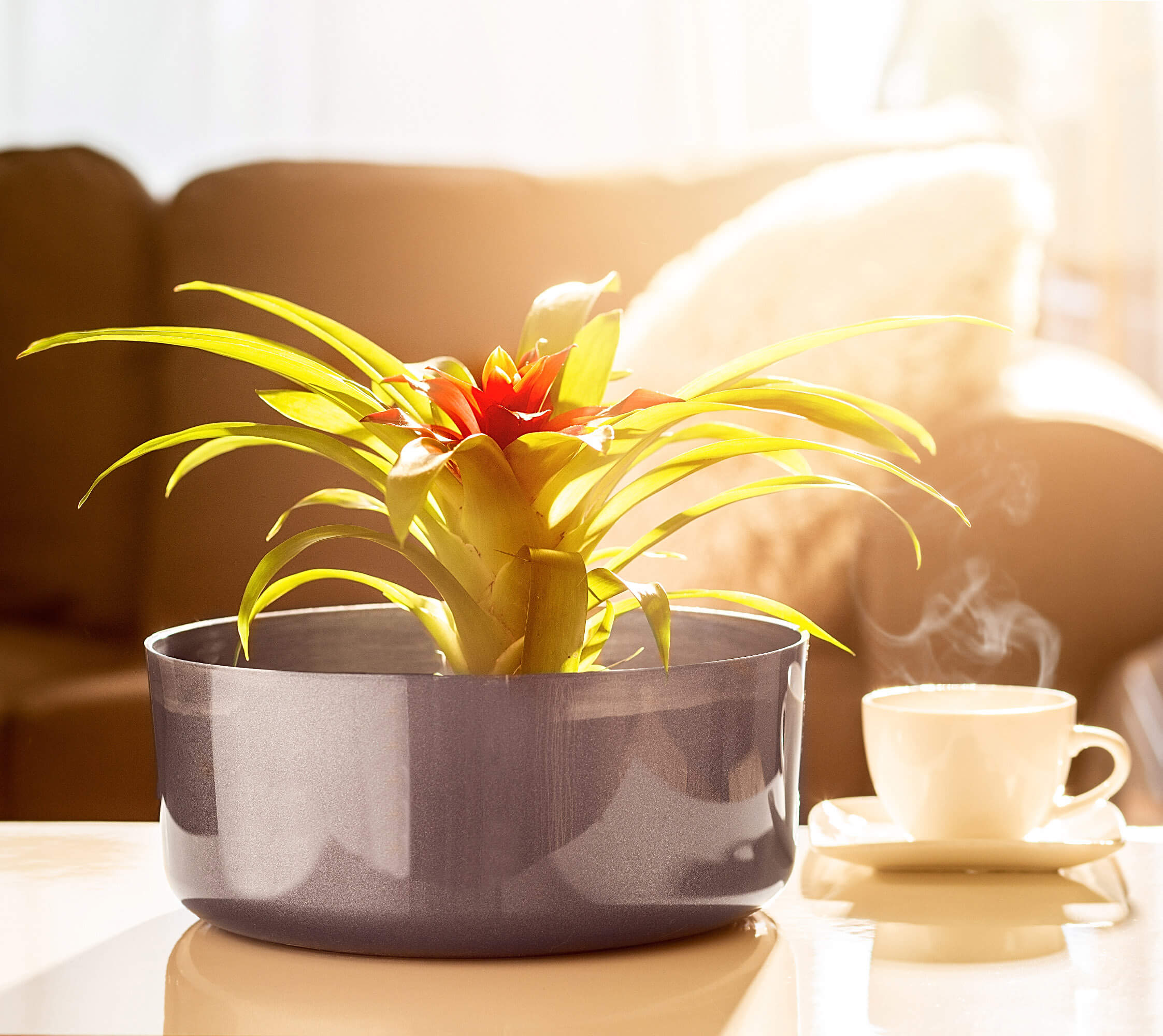 Doniczka na kwiaty Ronta 9 x 22 cm, grafit