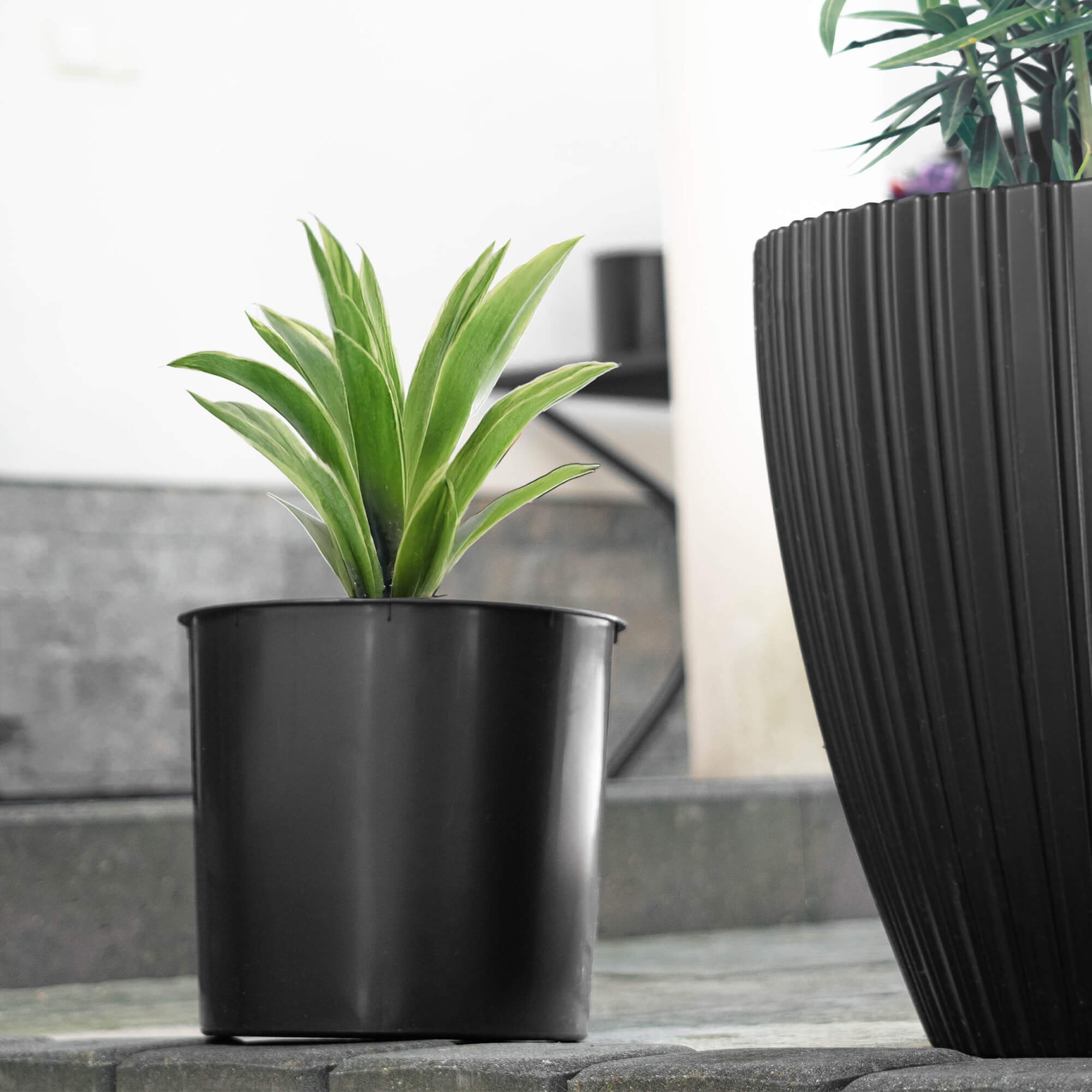 Wkład do doniczki Roisel 14 cm okrągły