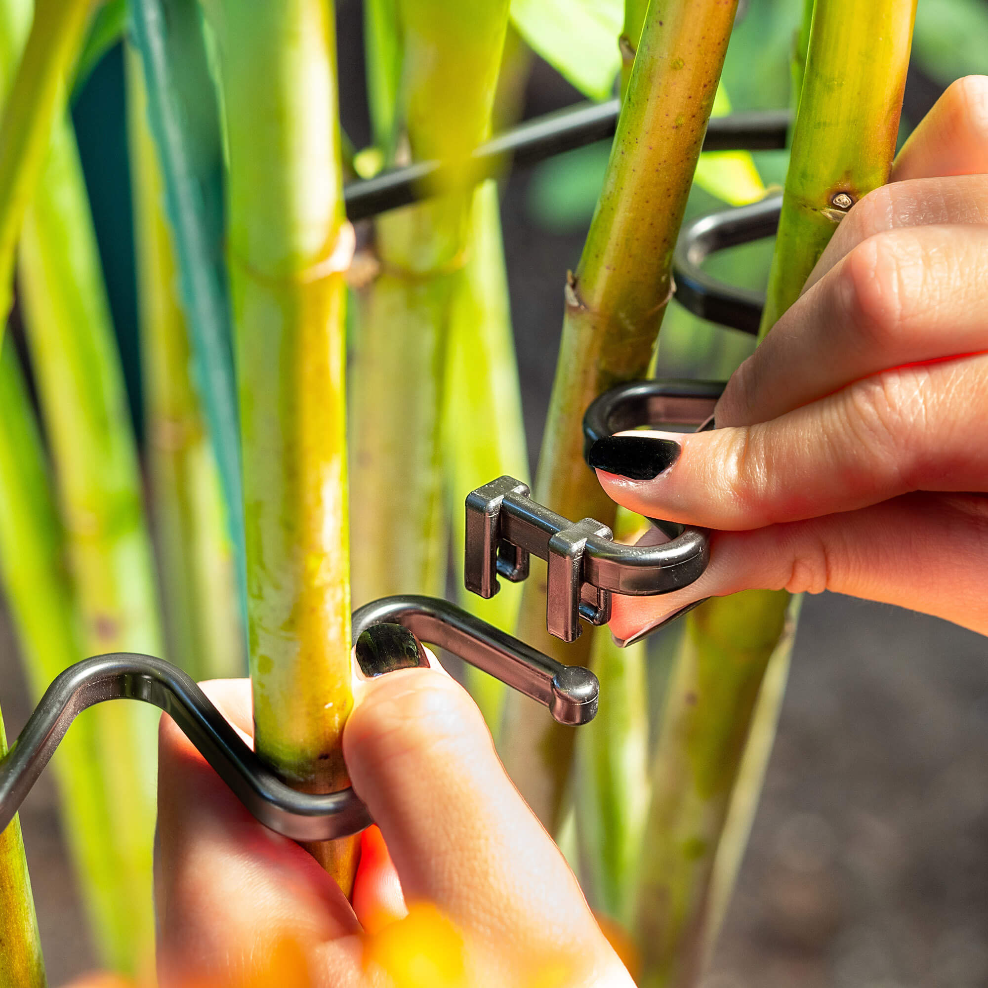 Obejma do roślin Montlaur z opaską zaciskową 21 cm czarna 20 szt.