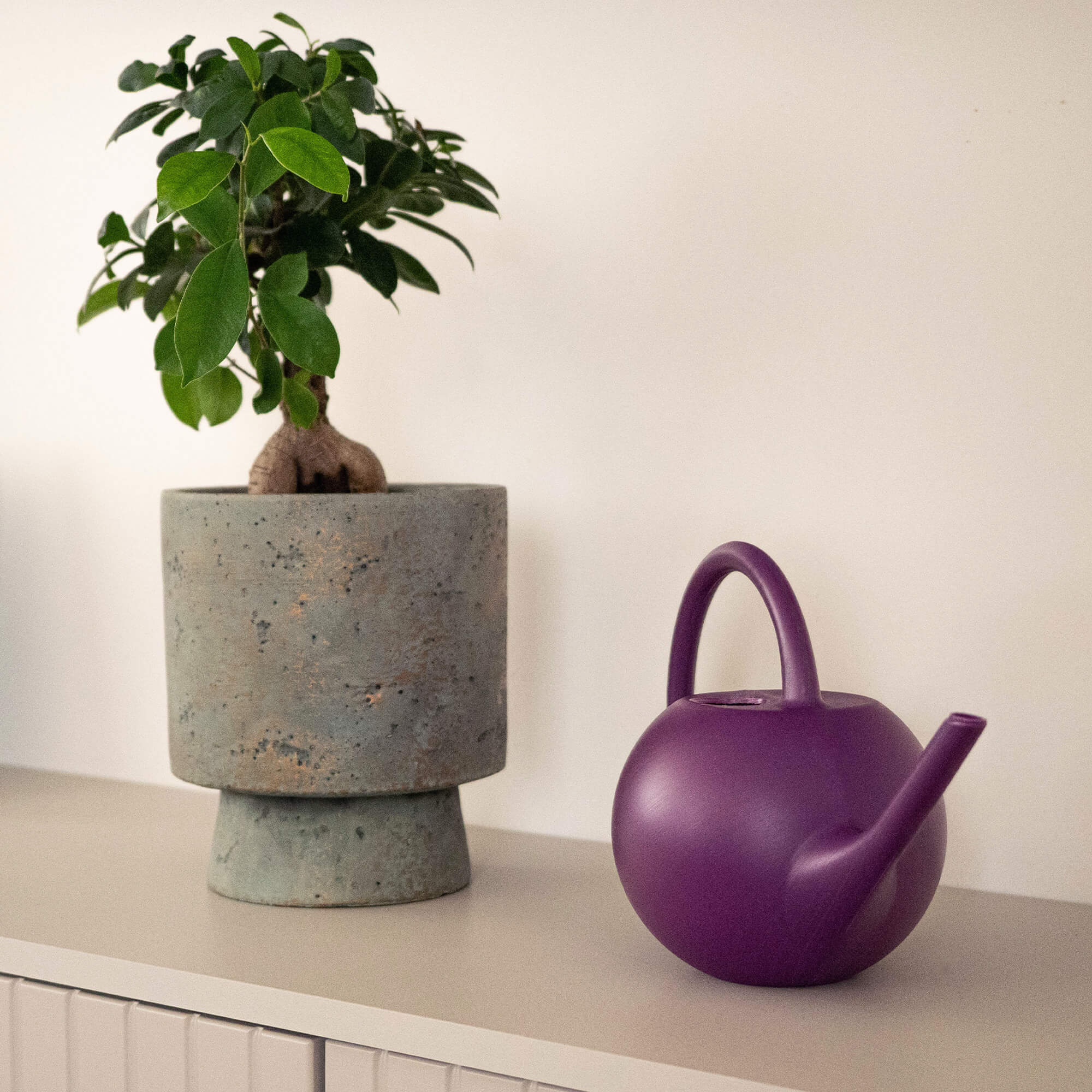 Konewka Ginai 1.2L fioletowa