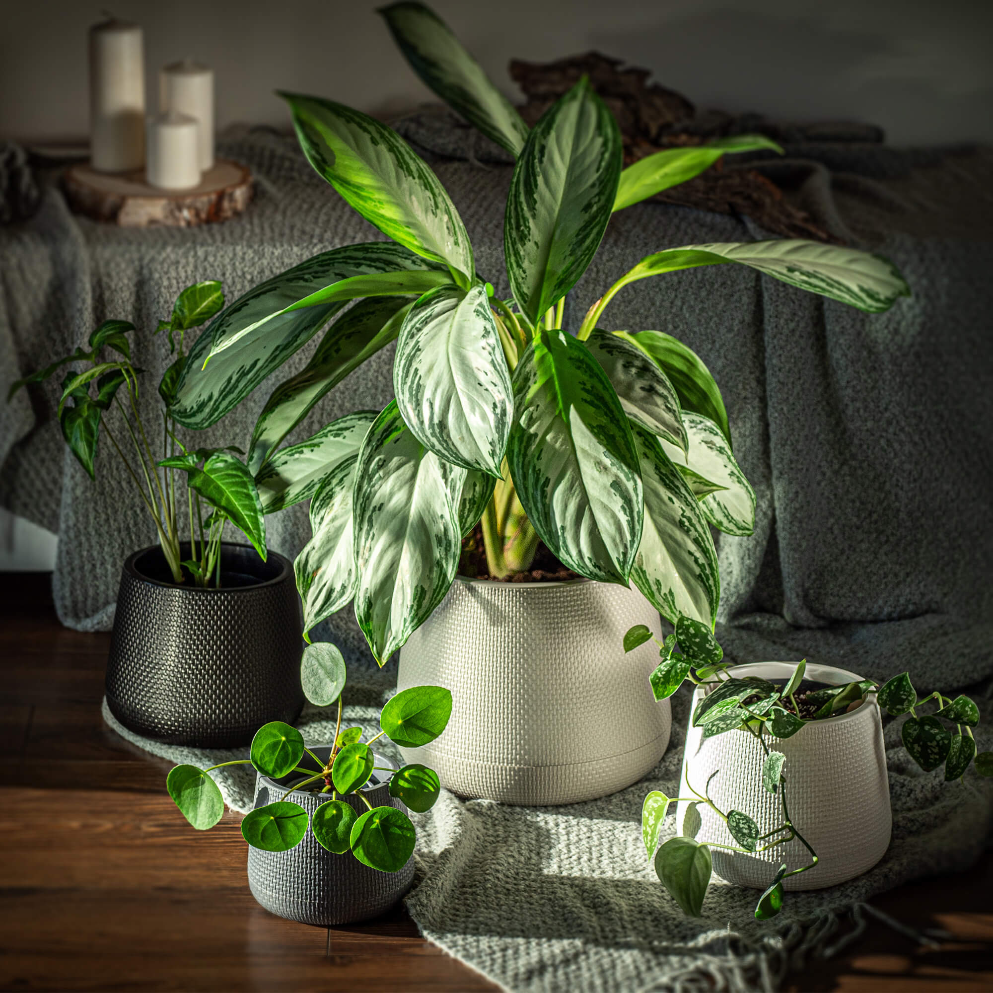 Doniczka z podstawką Peri 23 cm, czarna