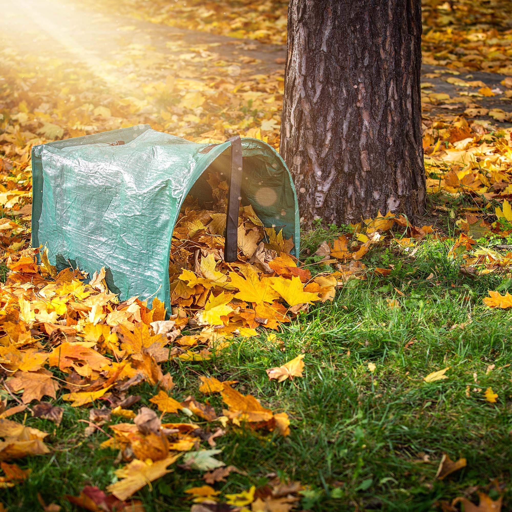 Składany kosz ogrodowy Montbard 200L zielony