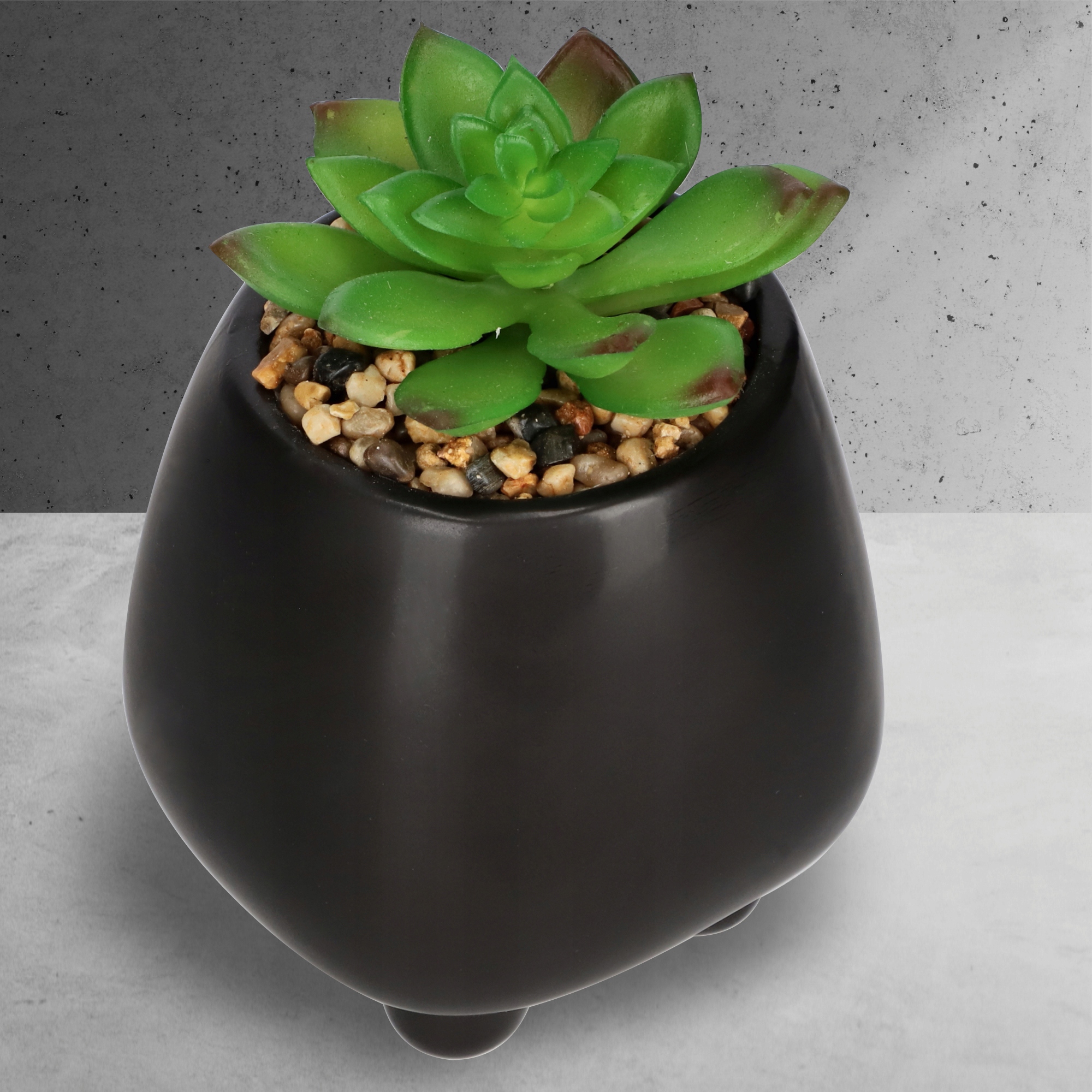 Sztuczny sukulent Rouy, 10,5 cm, antracyt