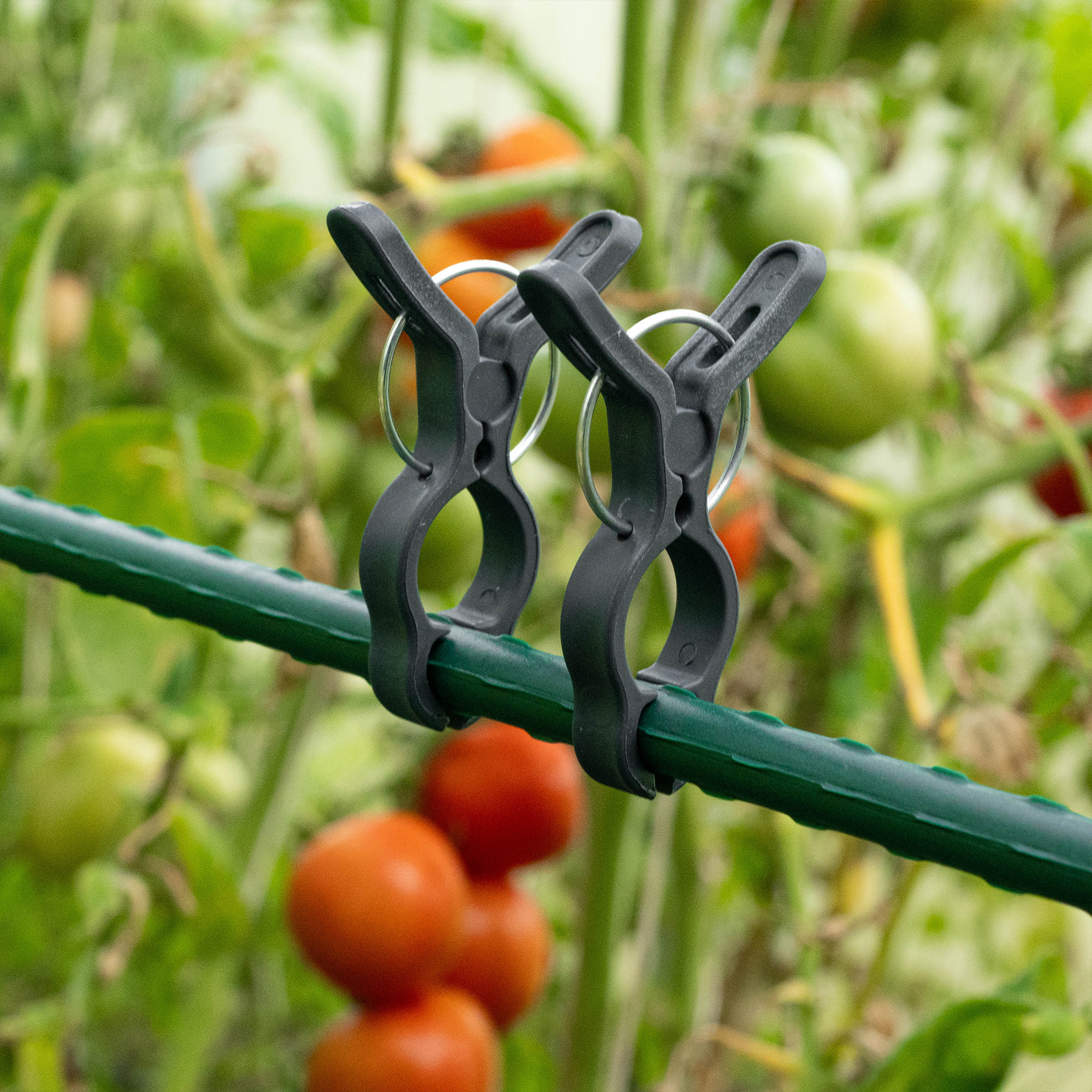 Klipsy do mocowania roślin Paldo 7.5 x 5.5 cm szare 10 szt.