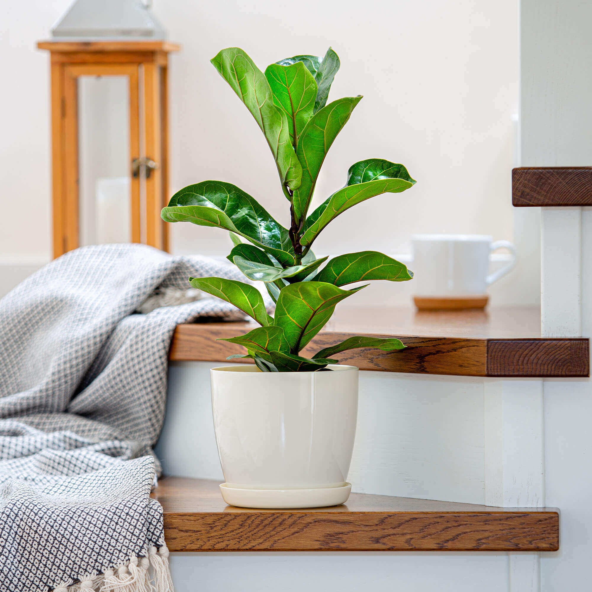 Doniczka Agen z podstawką 14 cm, kremowa