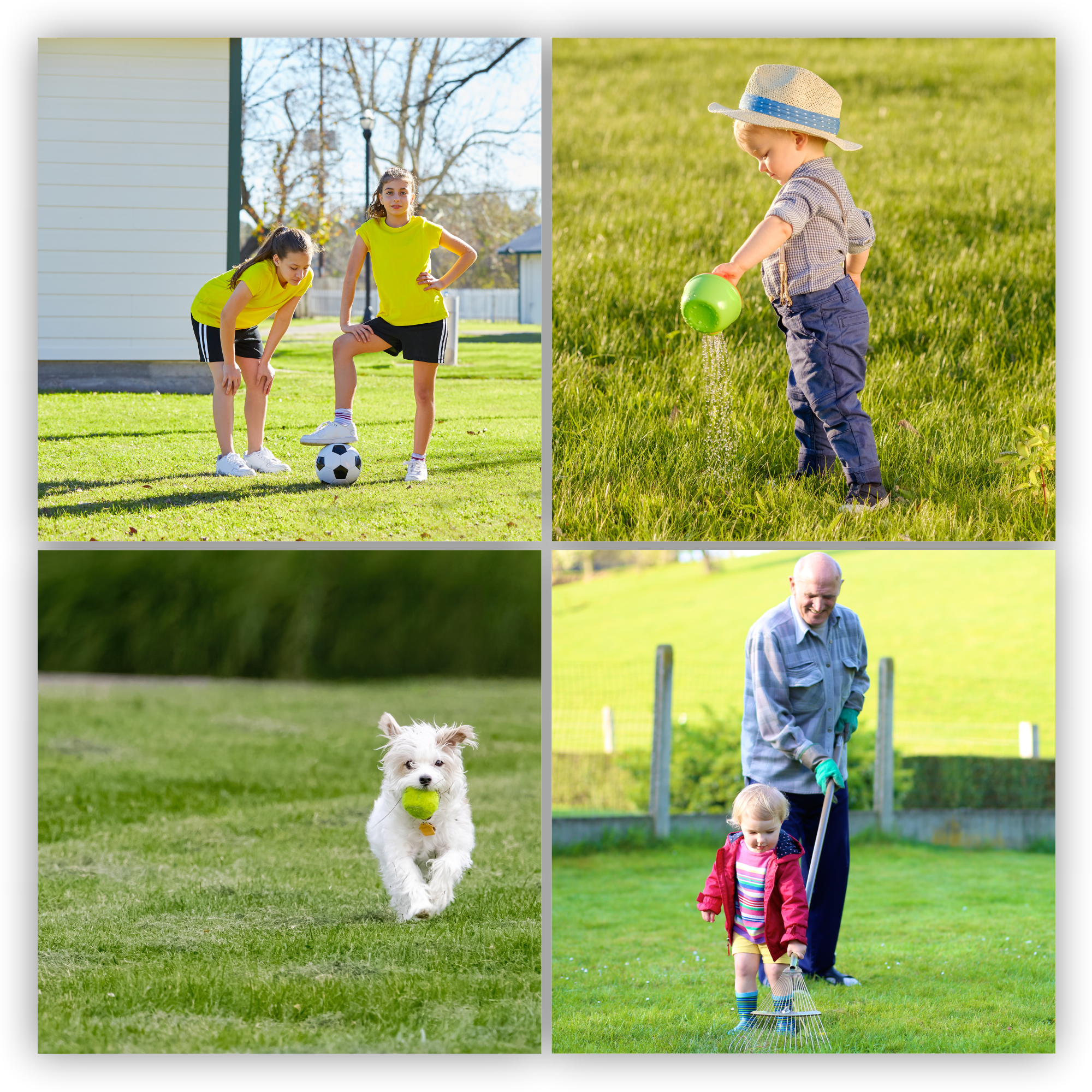 Trawa uniwersalna Riset szybko zagęszczająca 2 kg 100 m2