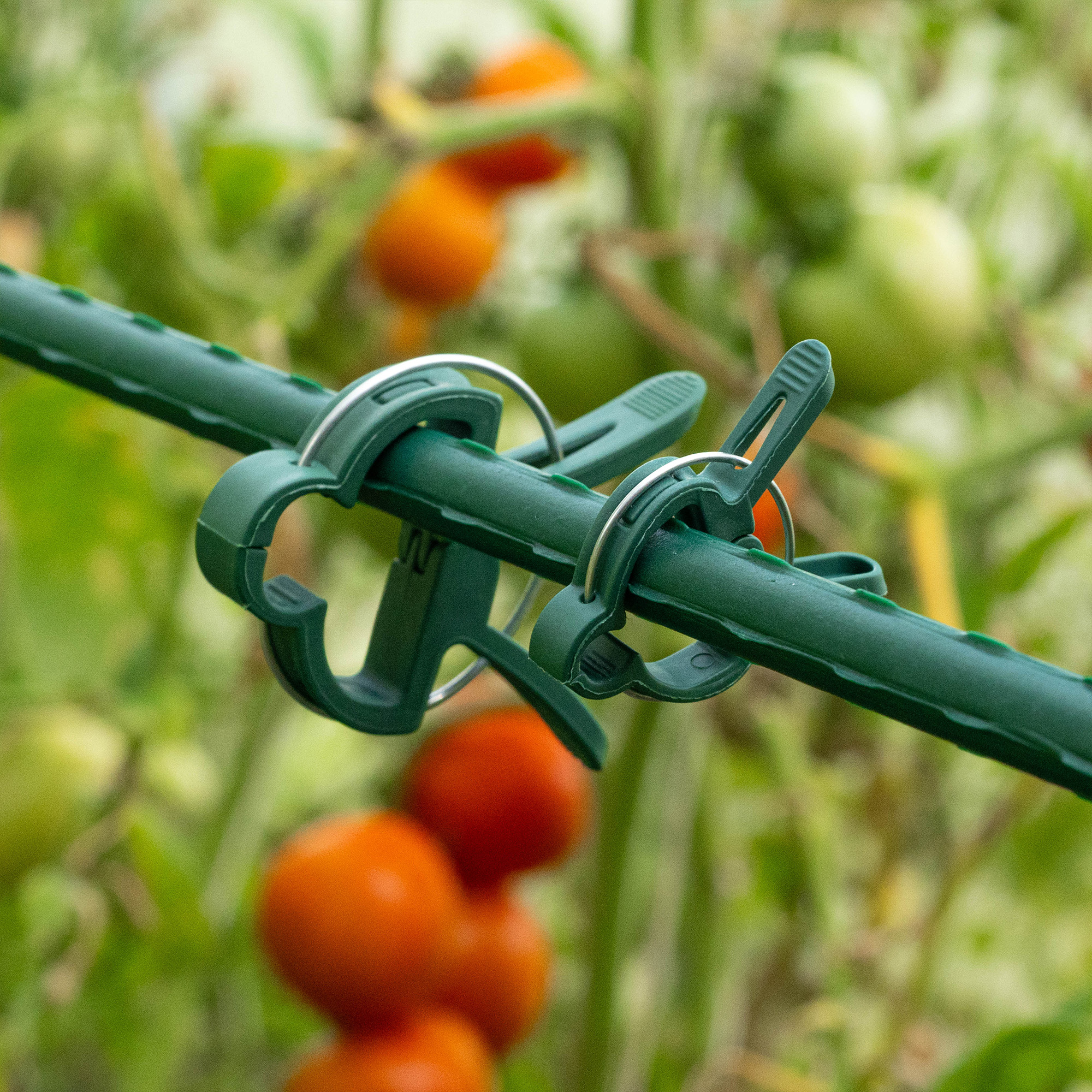 Klipsy do mocowania roślin Paldo 2 rozmiary zielone 20 szt.