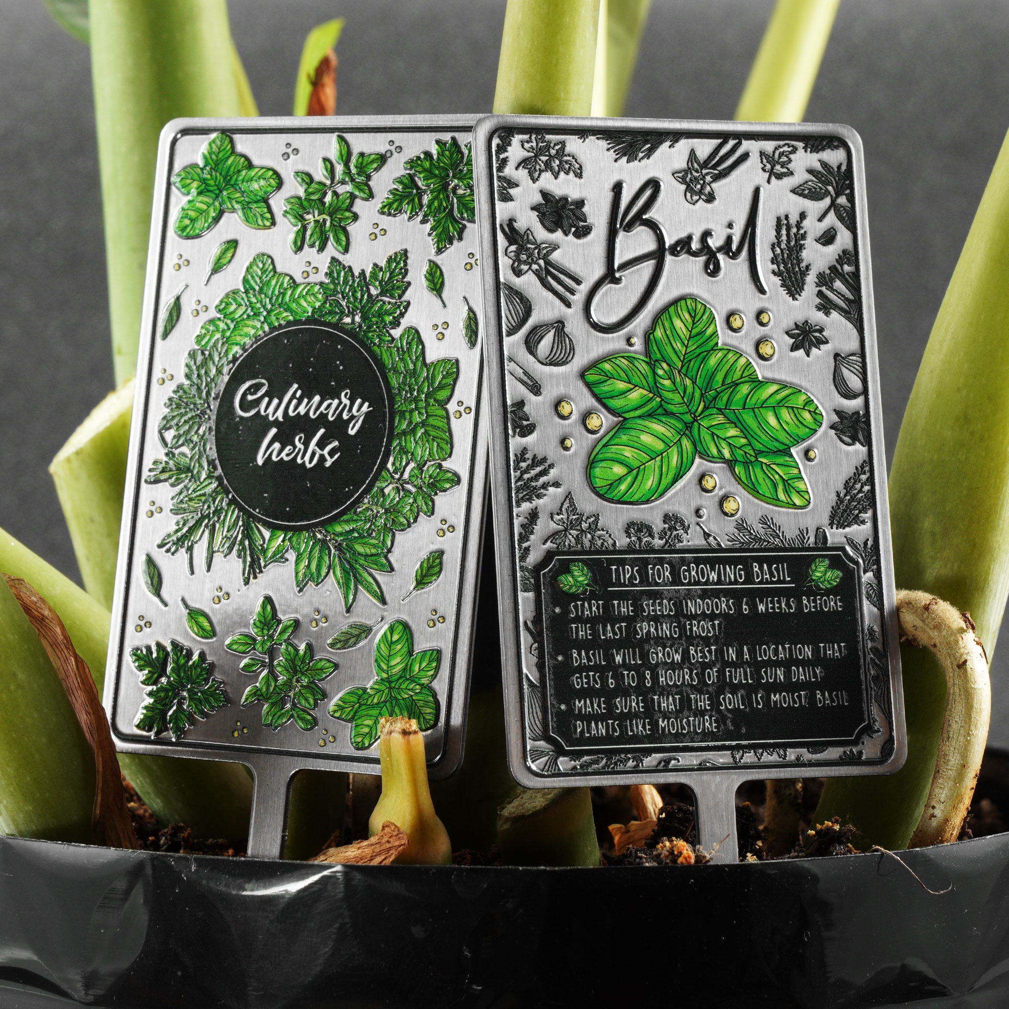 Tabliczka do ziół 5 x 12 cm, bazylia