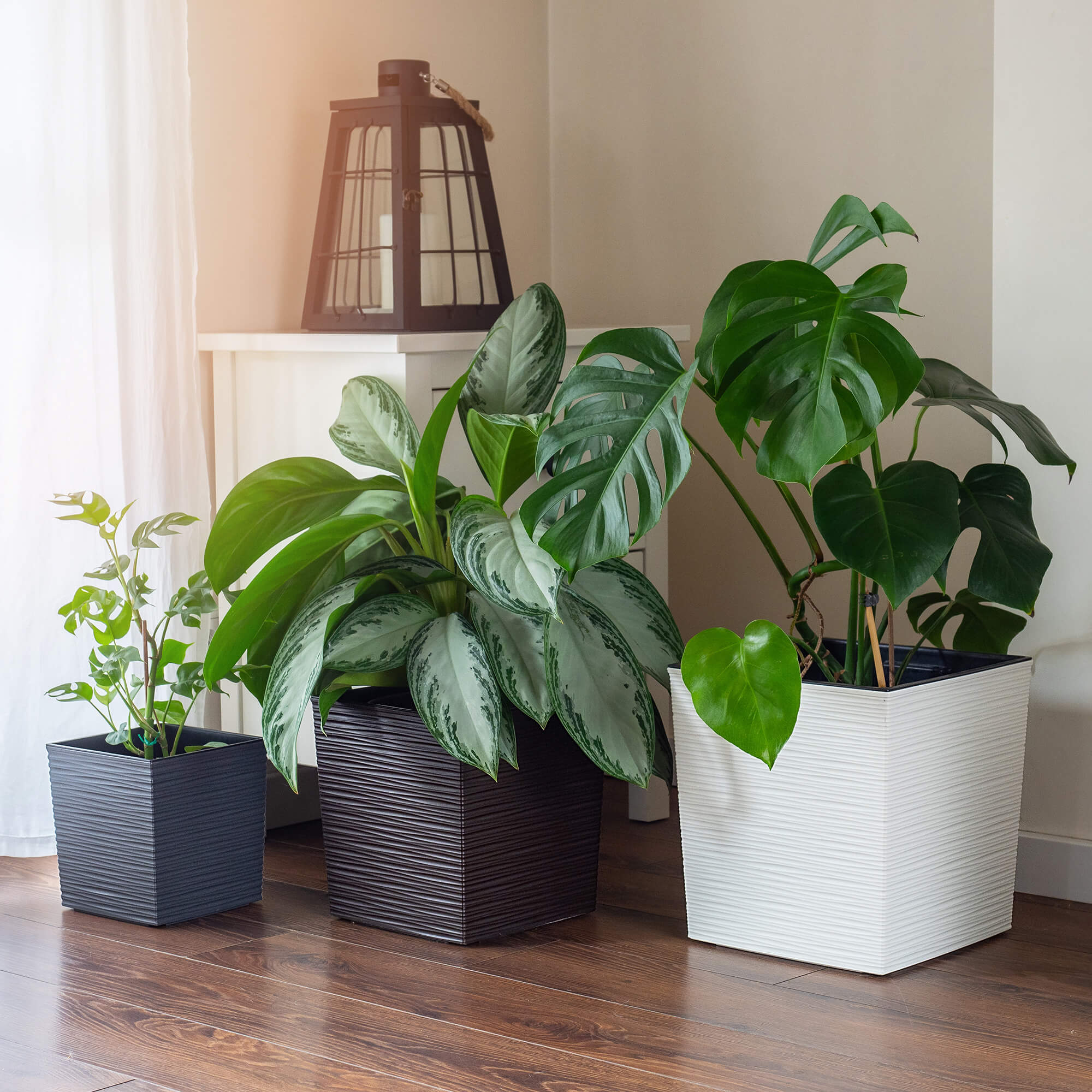 Donica na kwiaty Tres z wkładem dłuto 19 cm, mokka