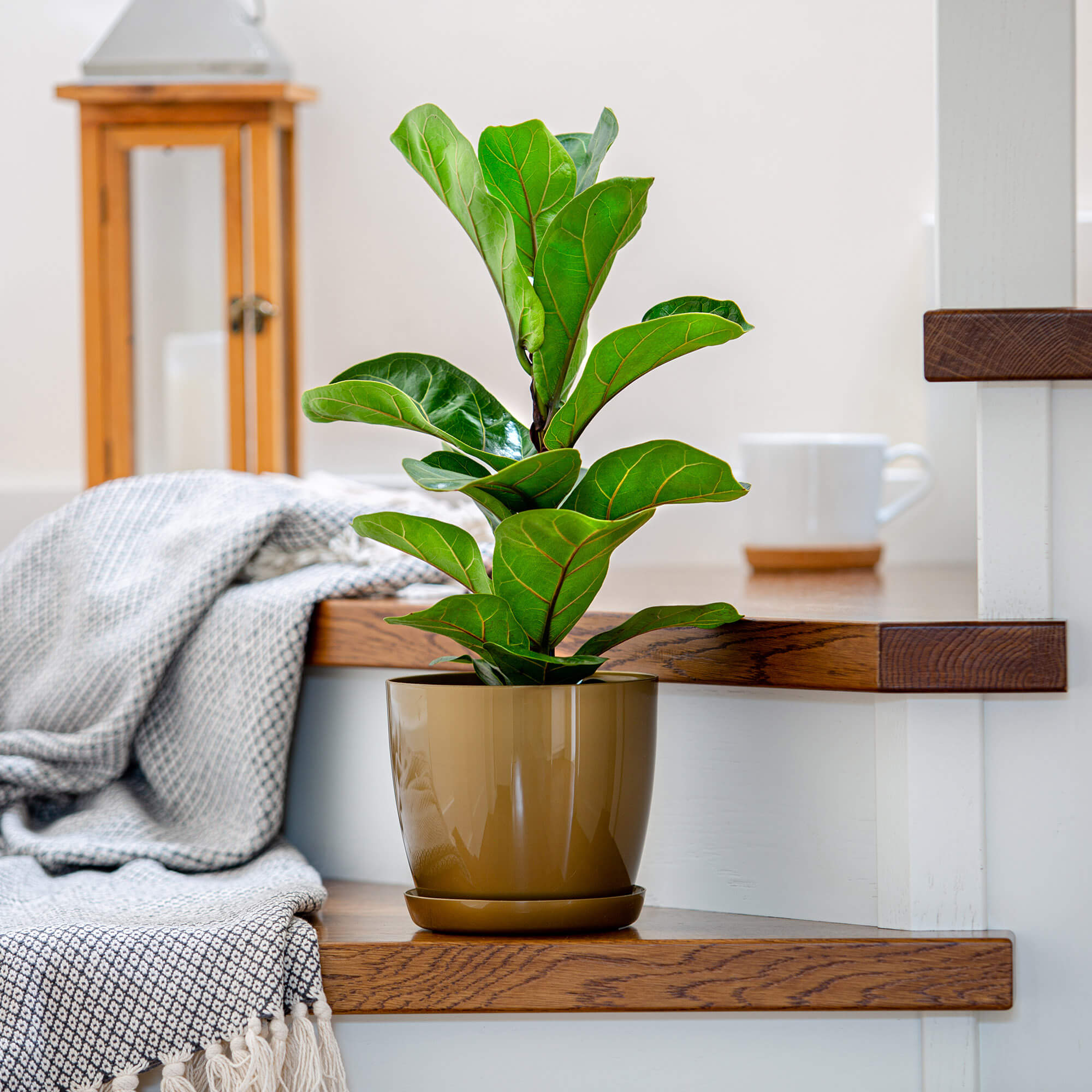 Doniczka na kwiaty z podstawką 20 cm, złota