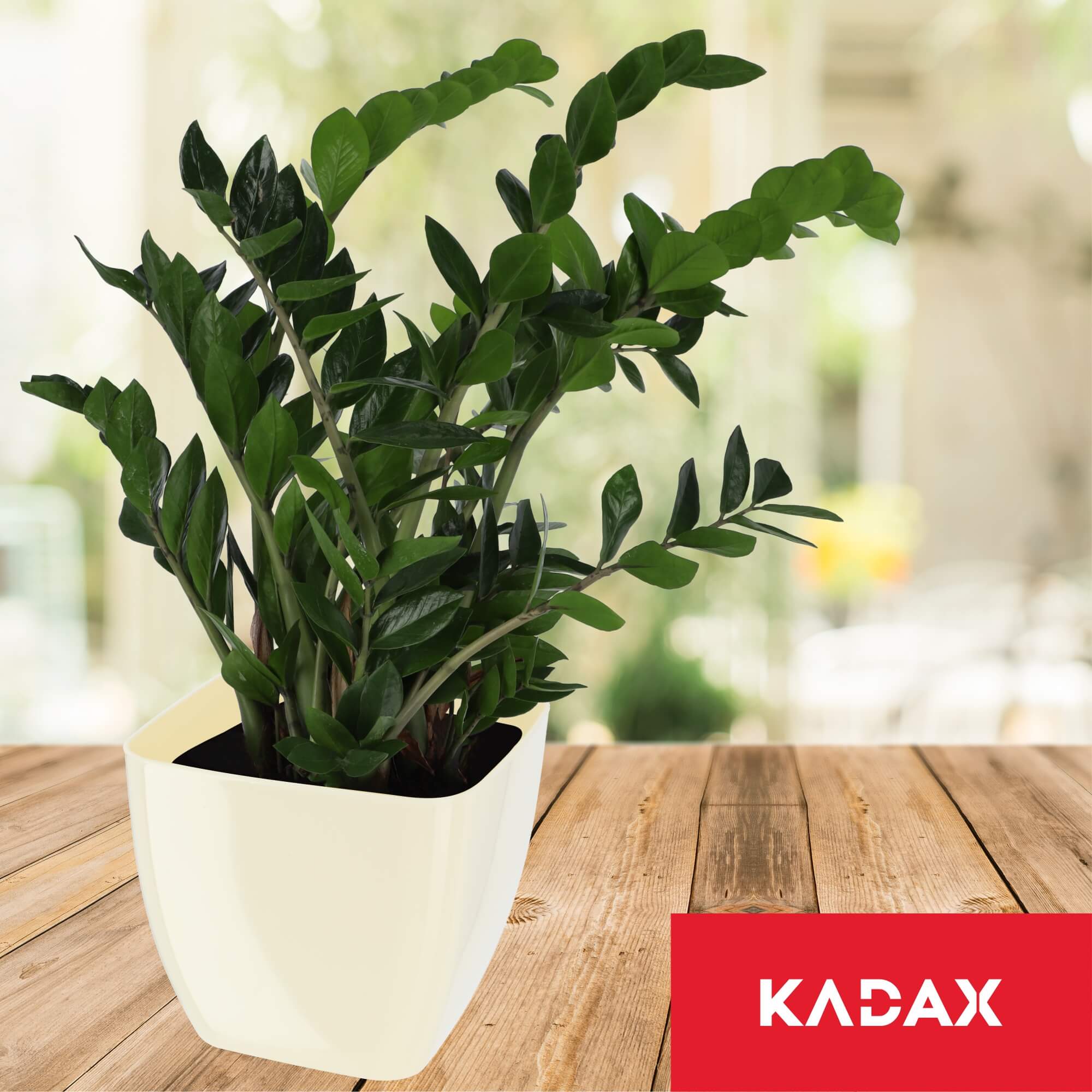 Doniczka kwadratowa Borgo 12 cm, kremowa