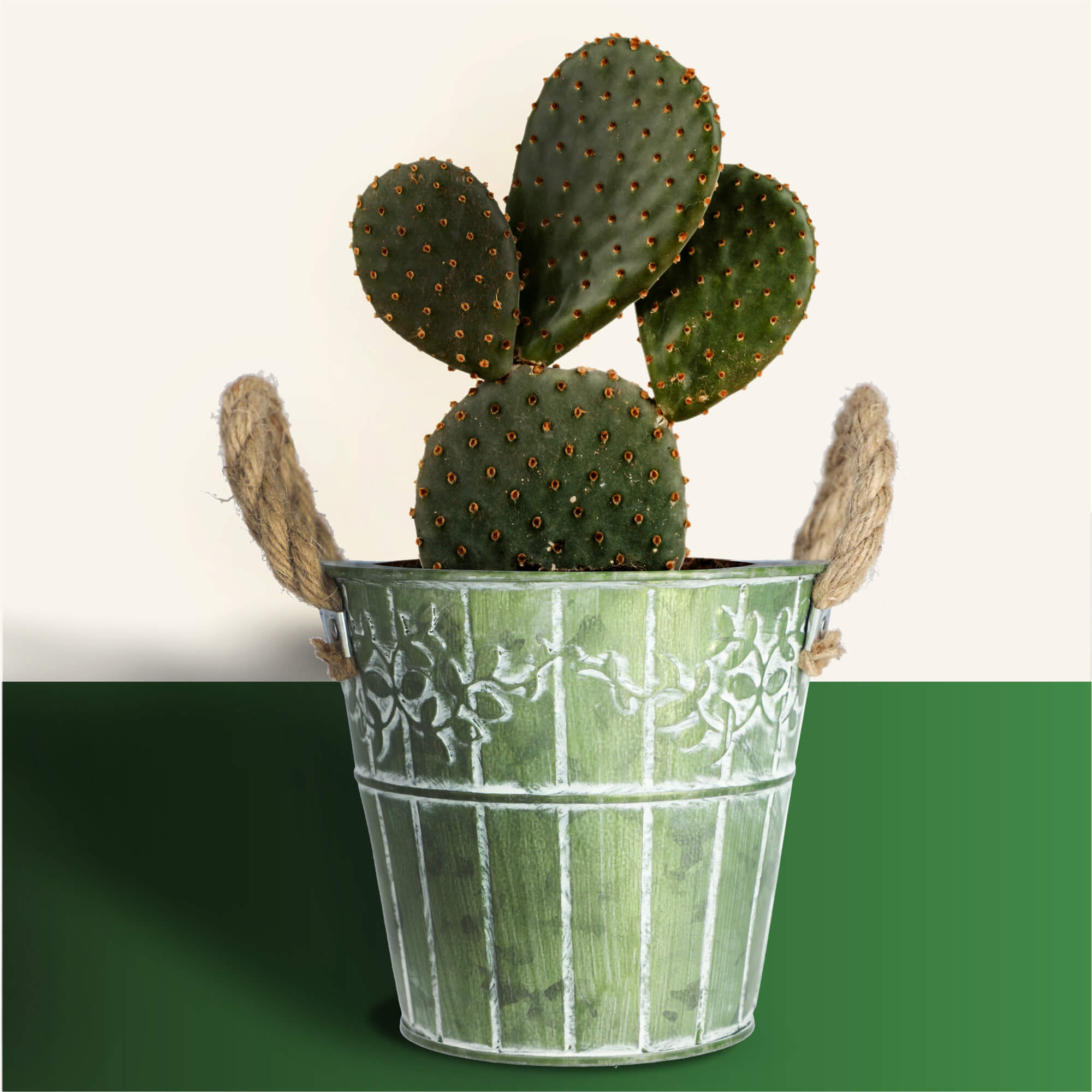 Osłonka na kwiaty okrągła Pino 18 cm, zielona