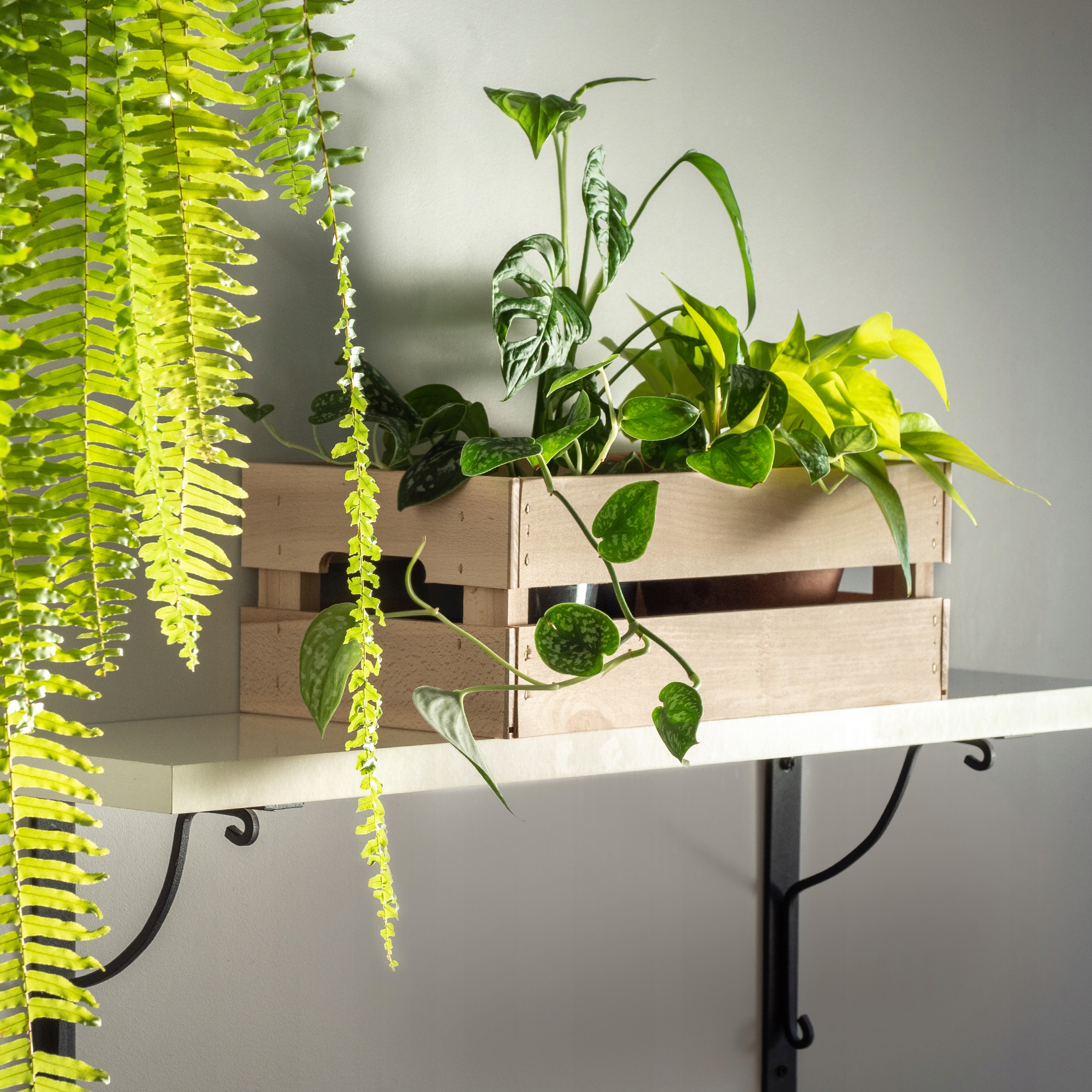 Skrzynka drewniana 14 x 20 cm, naturalna