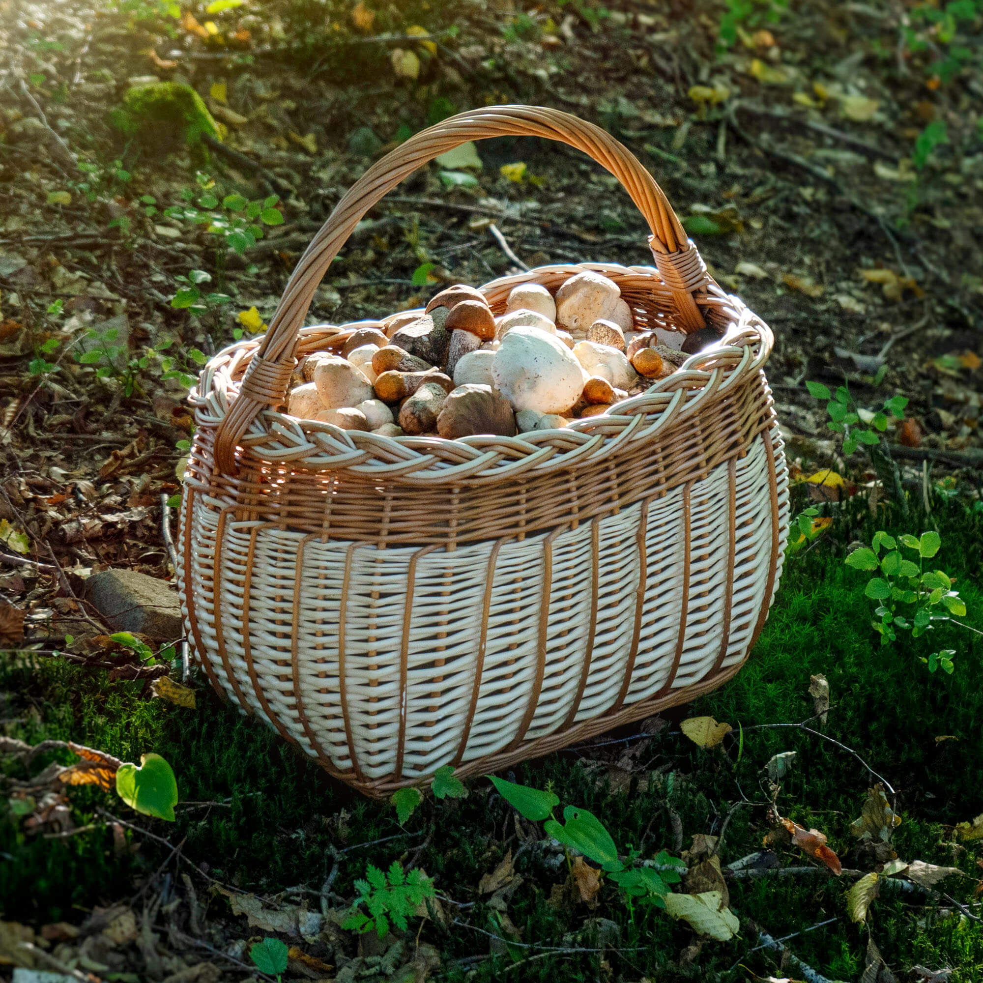 Kosz wiklinowy na zakupy Anfo 41 x 26 cm, naturalny