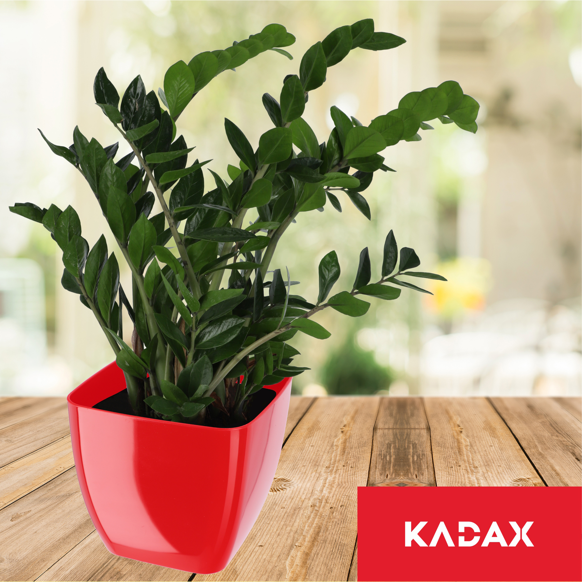 Doniczka kwadratowa Borgo 8 cm, czerwona