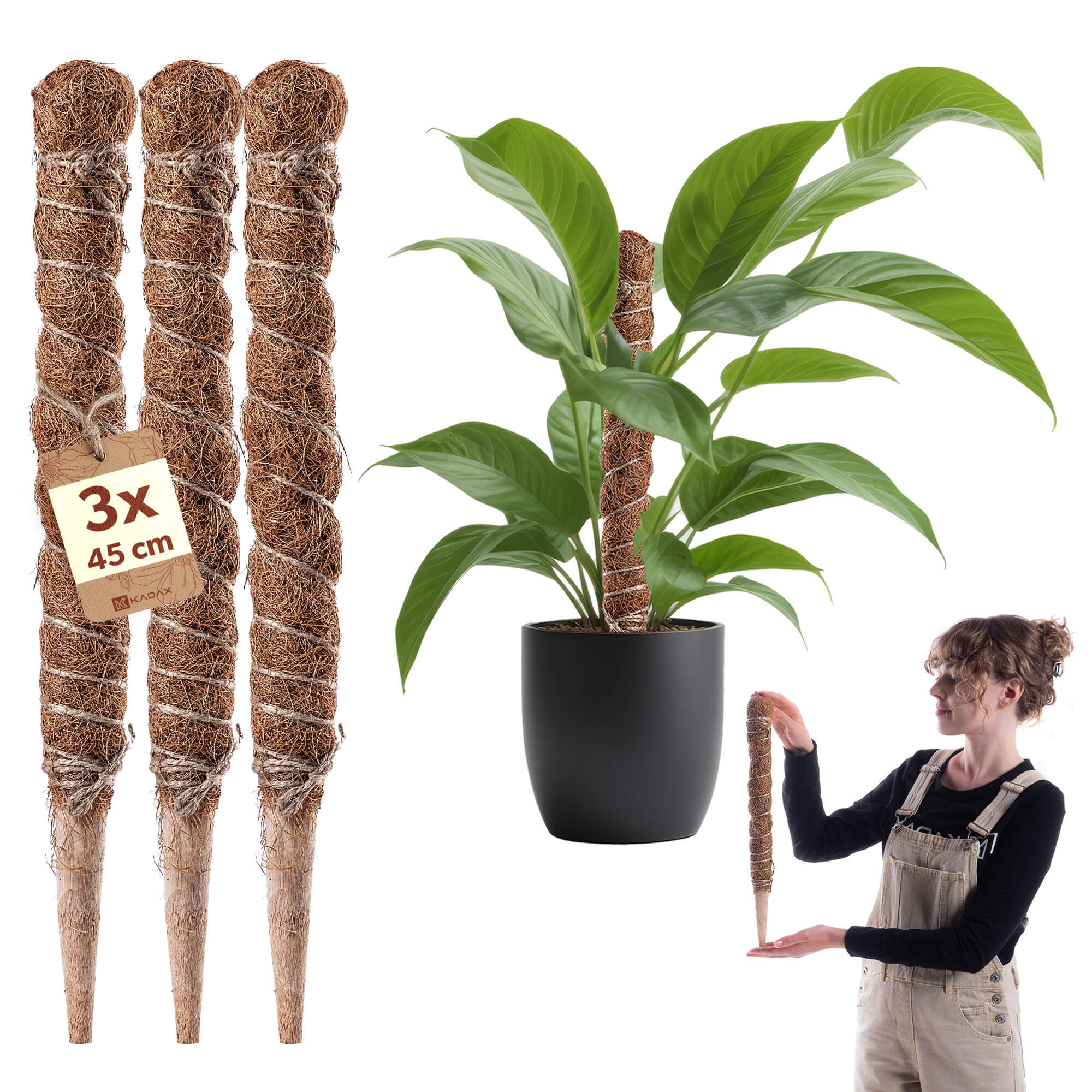 Tyczka do roślin kokosowa Cande 45 cm podpora doniczkowa 3 szt.