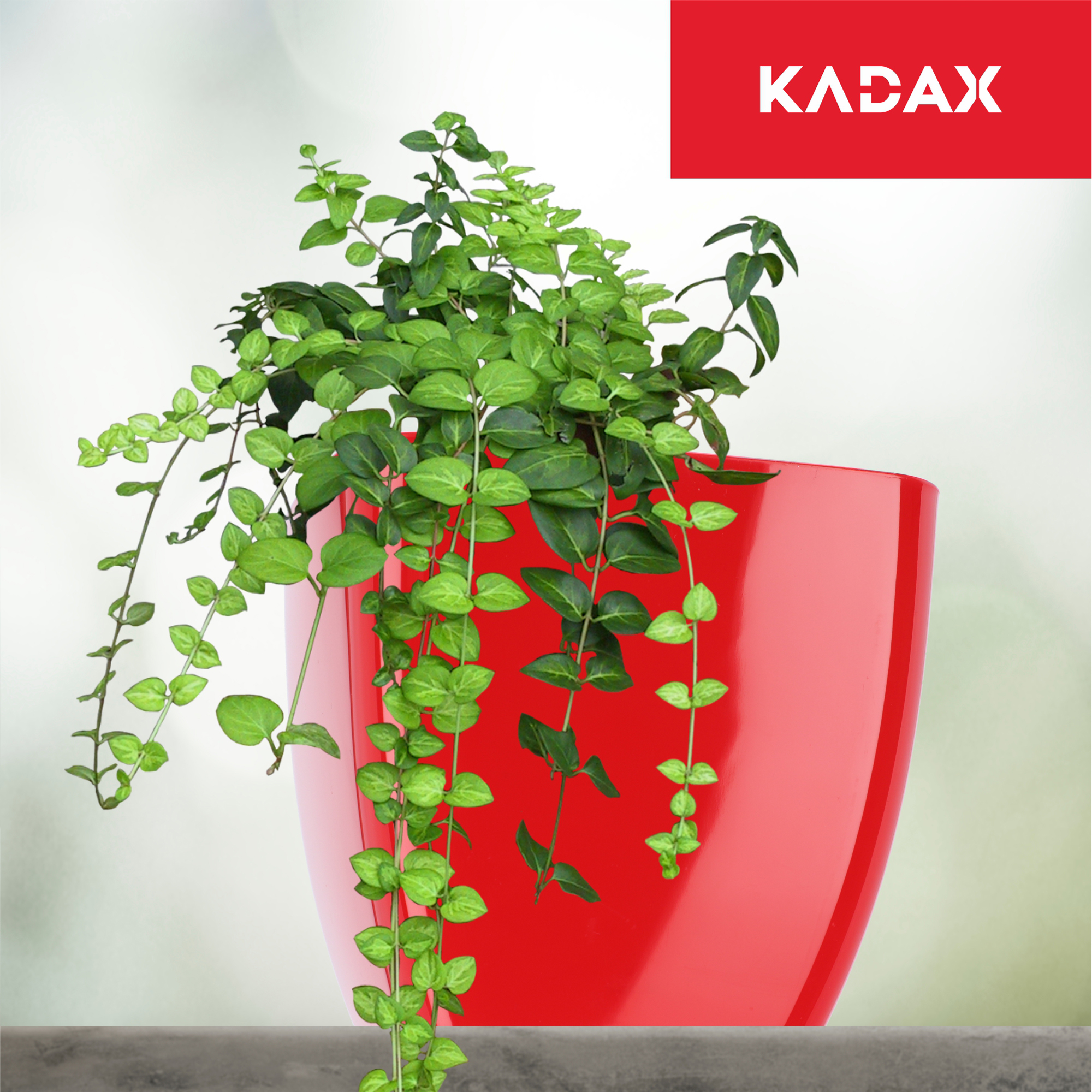 Doniczka kwadratowa Borgo 8 cm, czerwona