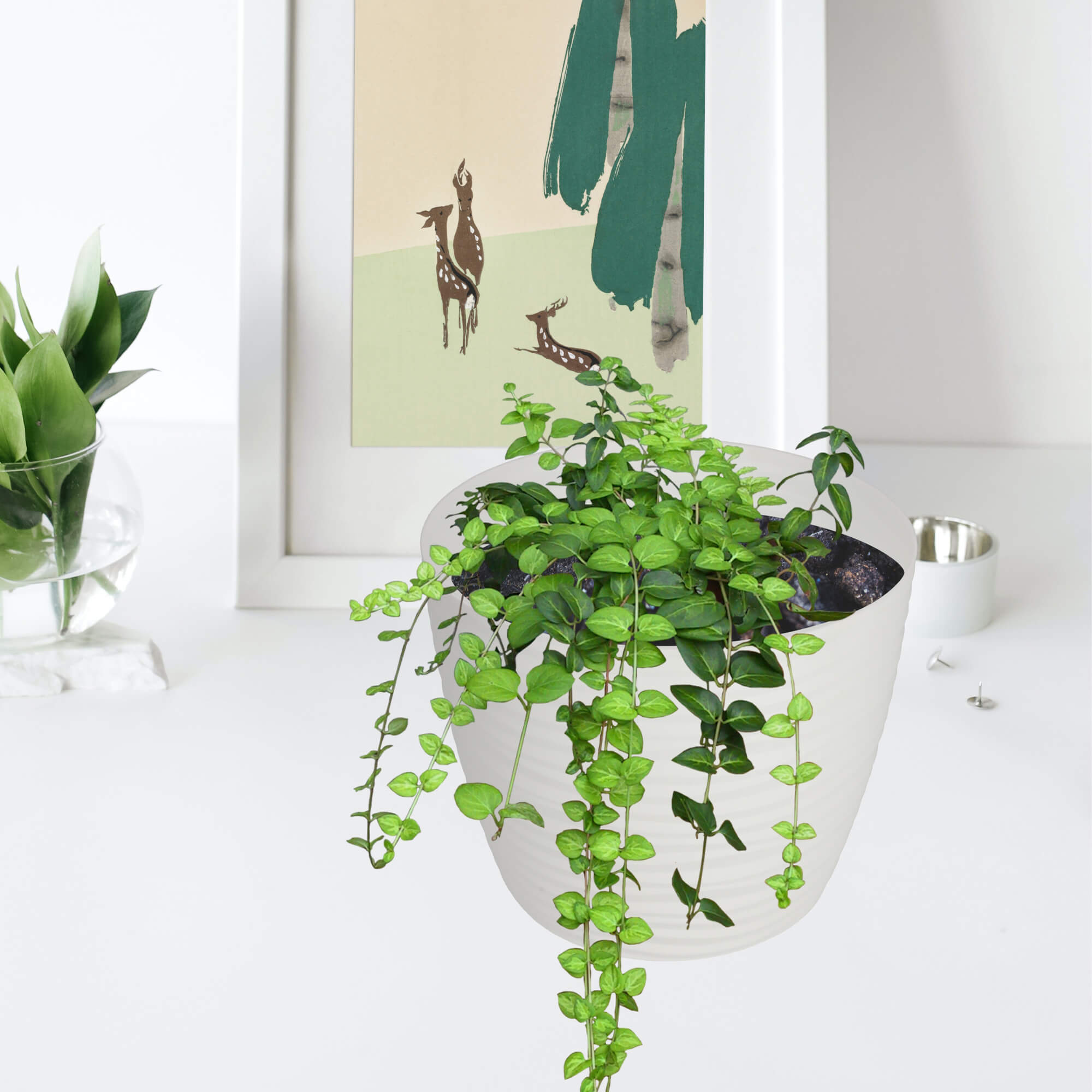 Doniczka na kwiaty okrągła z podstawką 17 cm, biała