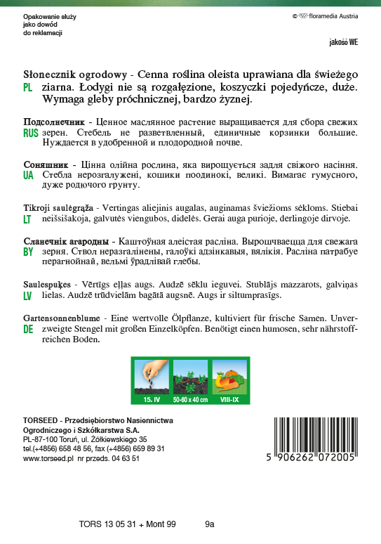 Słonecznik jadalny Słonecznik ogrodowy 10g
