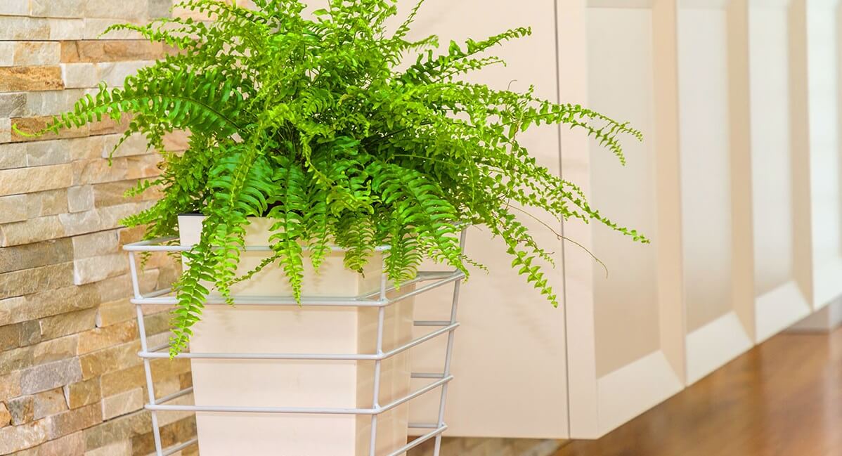 Kwietnik stojący na doniczkę 26 x 51 cm, biały