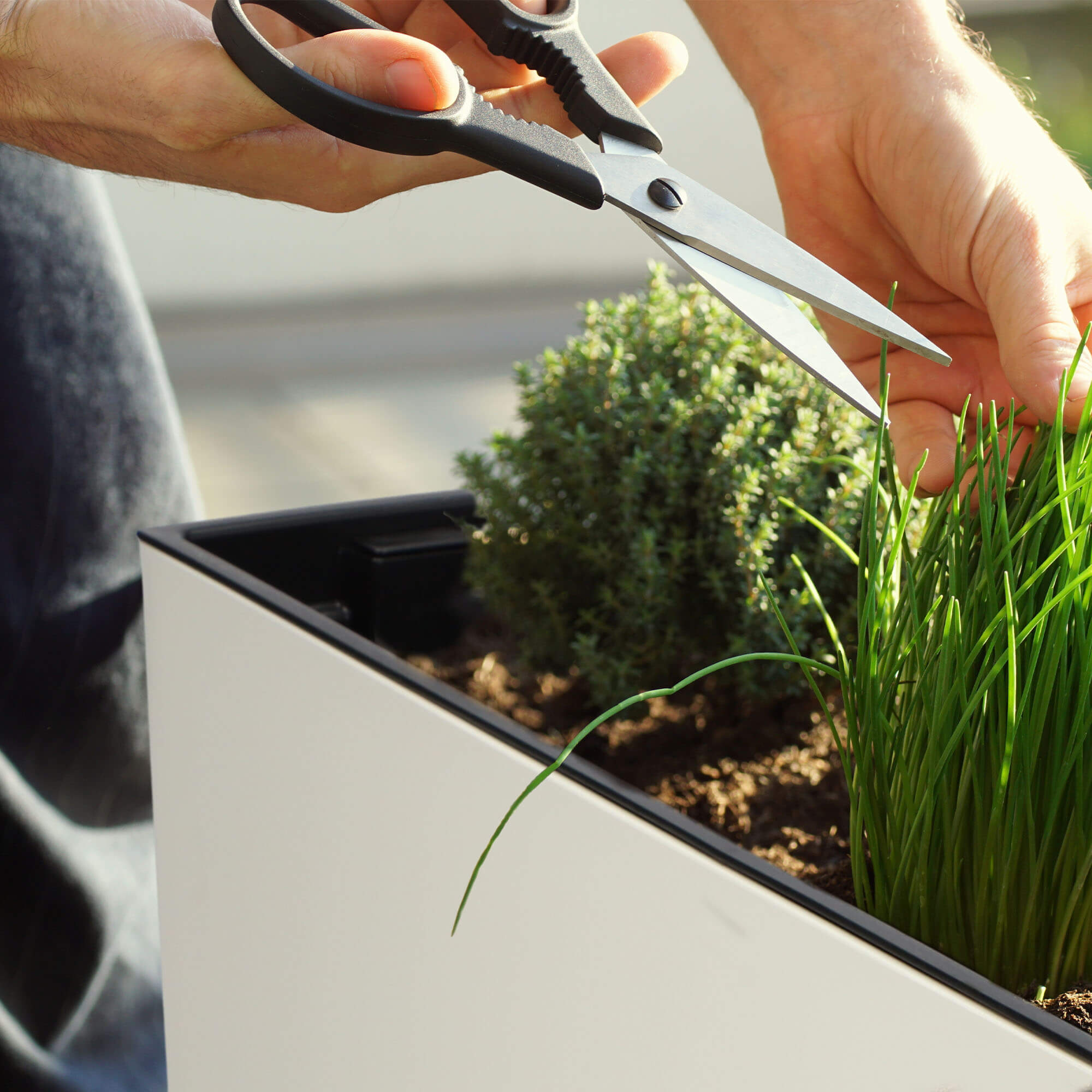 Donica ogrodowa Sorbo 56 x 19 cm, kremowa