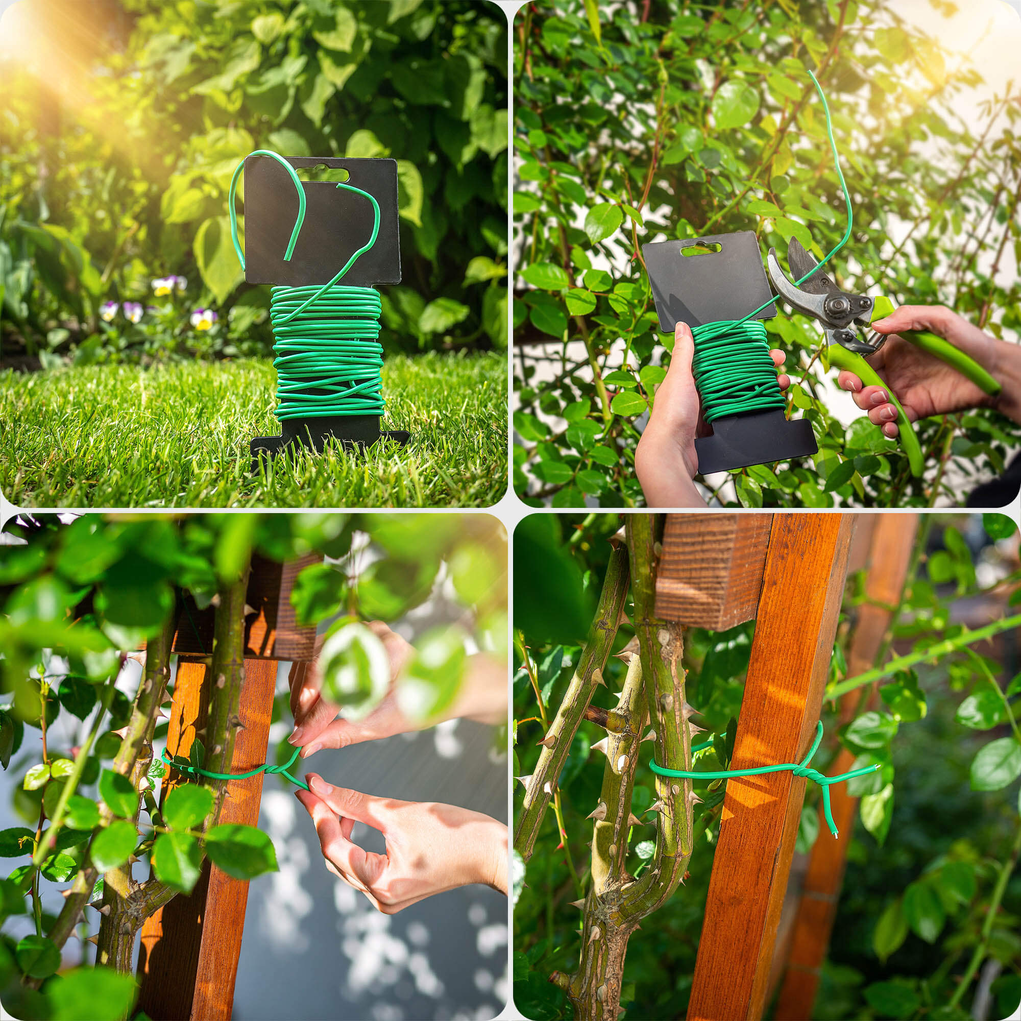 Opaska skręcana do roślin Draix TPR 5 m