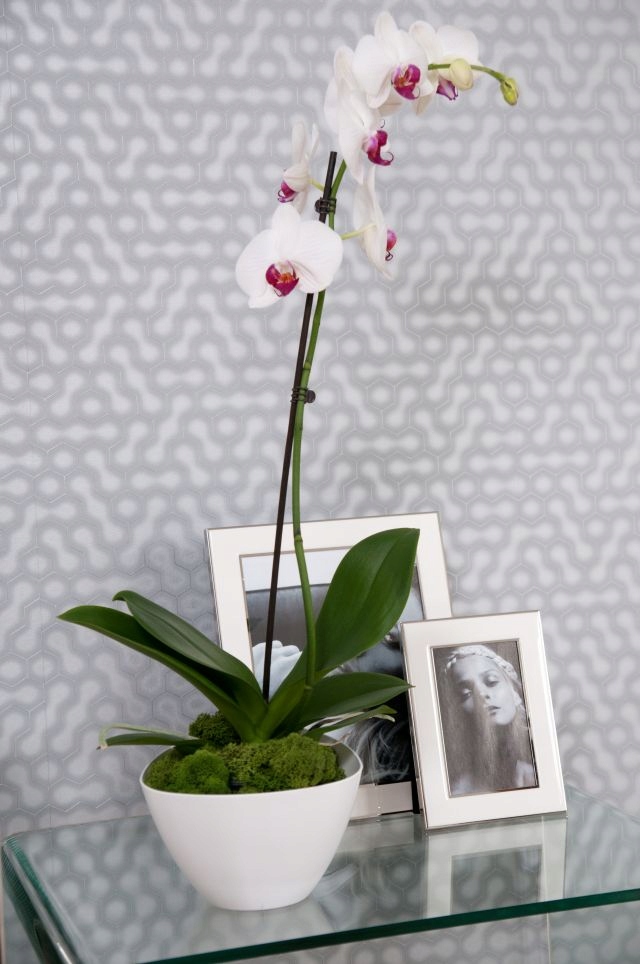 Doniczka trójkątna z podstawką 23 x 16 cm, biała