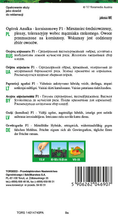 Ogórek gruntowy korniszonowy Anulka F1 3g