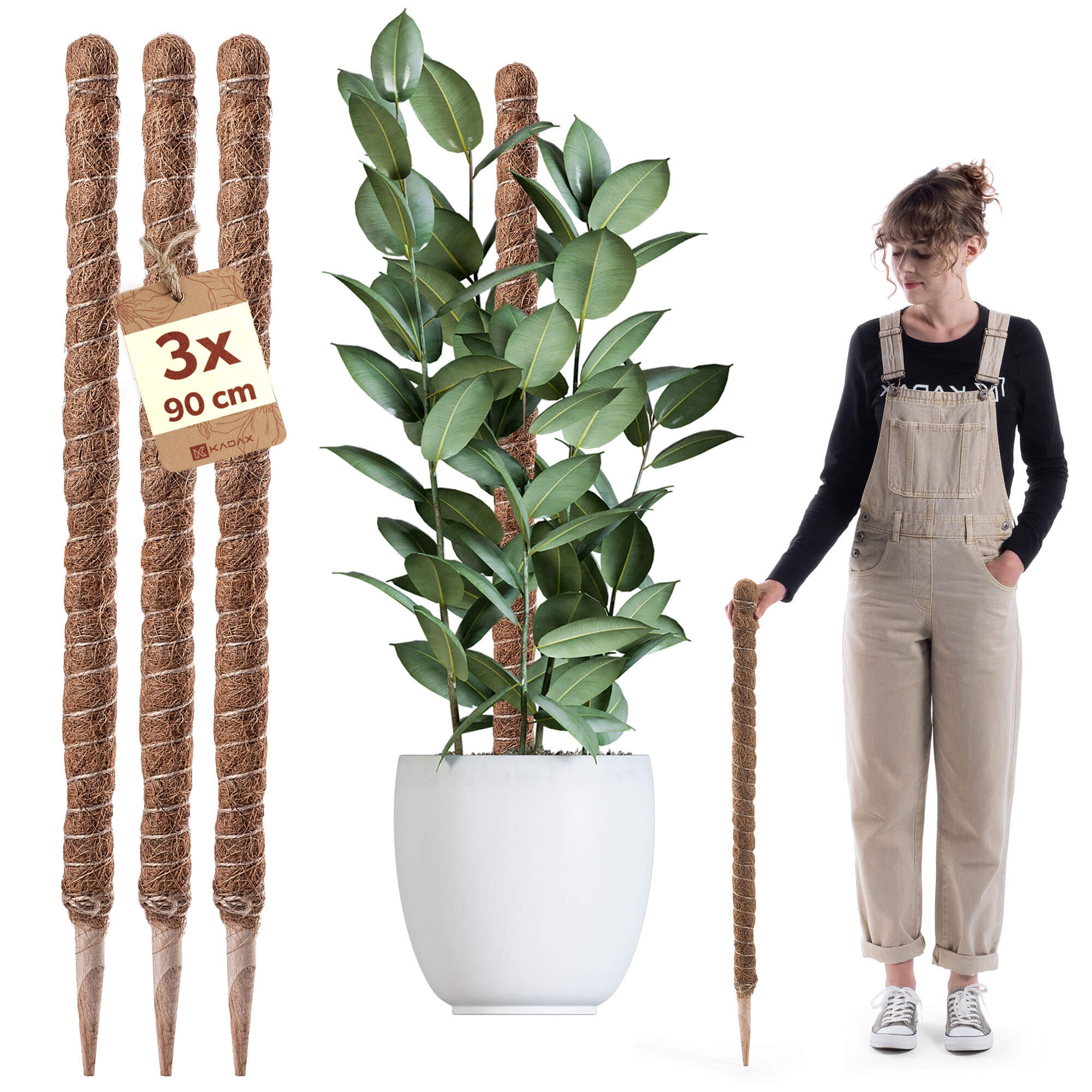 Tyczka do roślin kokosowa Cande 90 cm podpora doniczkowa 3 szt.