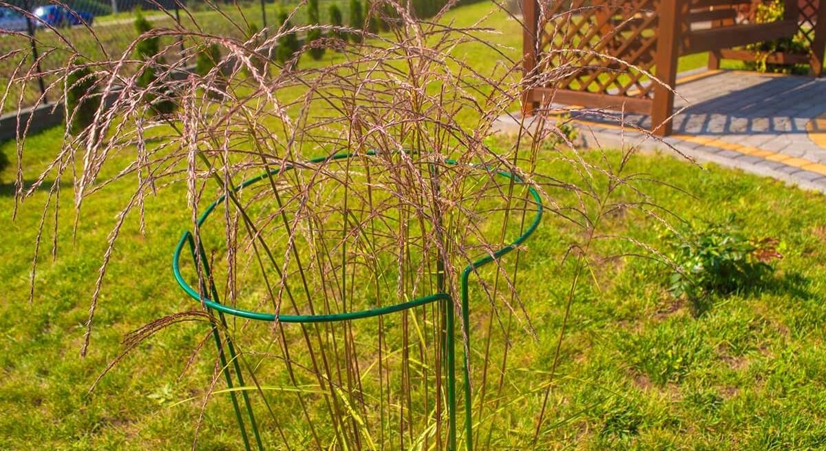 Podpora do roślin 90 + 115 cm 2 szt.