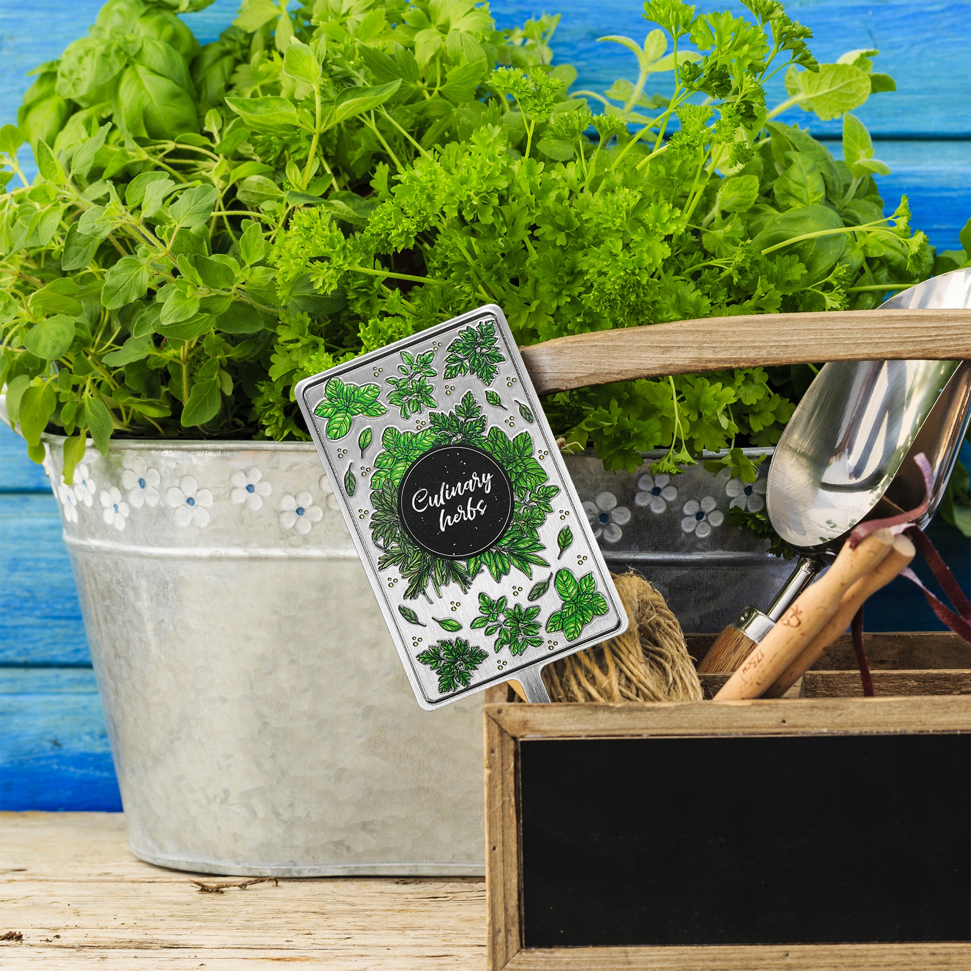 Tabliczka do ziół 5 x 12 cm, bazylia