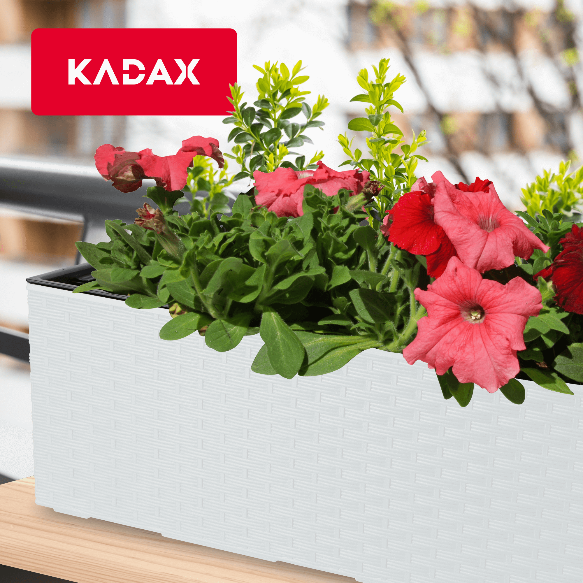 Doniczka balkonowa rattan z wkładem Murano 56 x 19 cm, biała