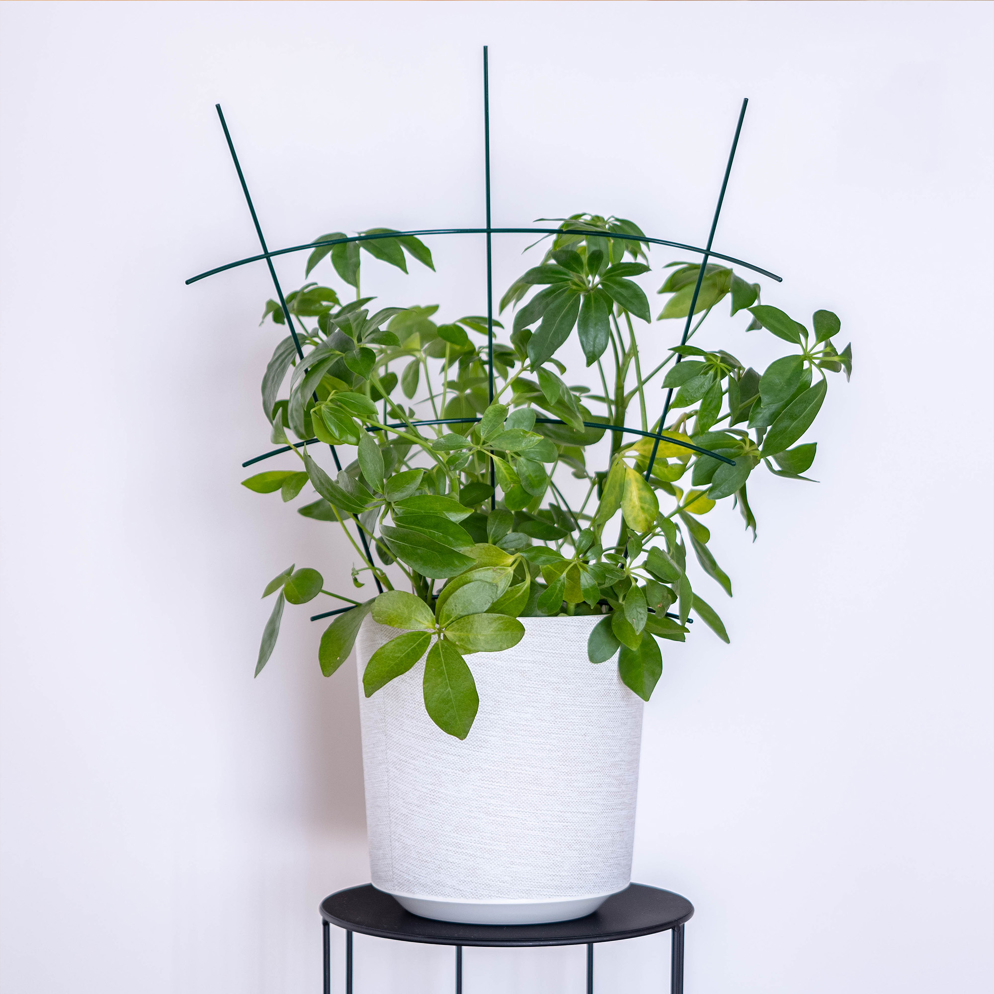 Podpora doniczkowa do roślin zielona Chieti, 3 szt.