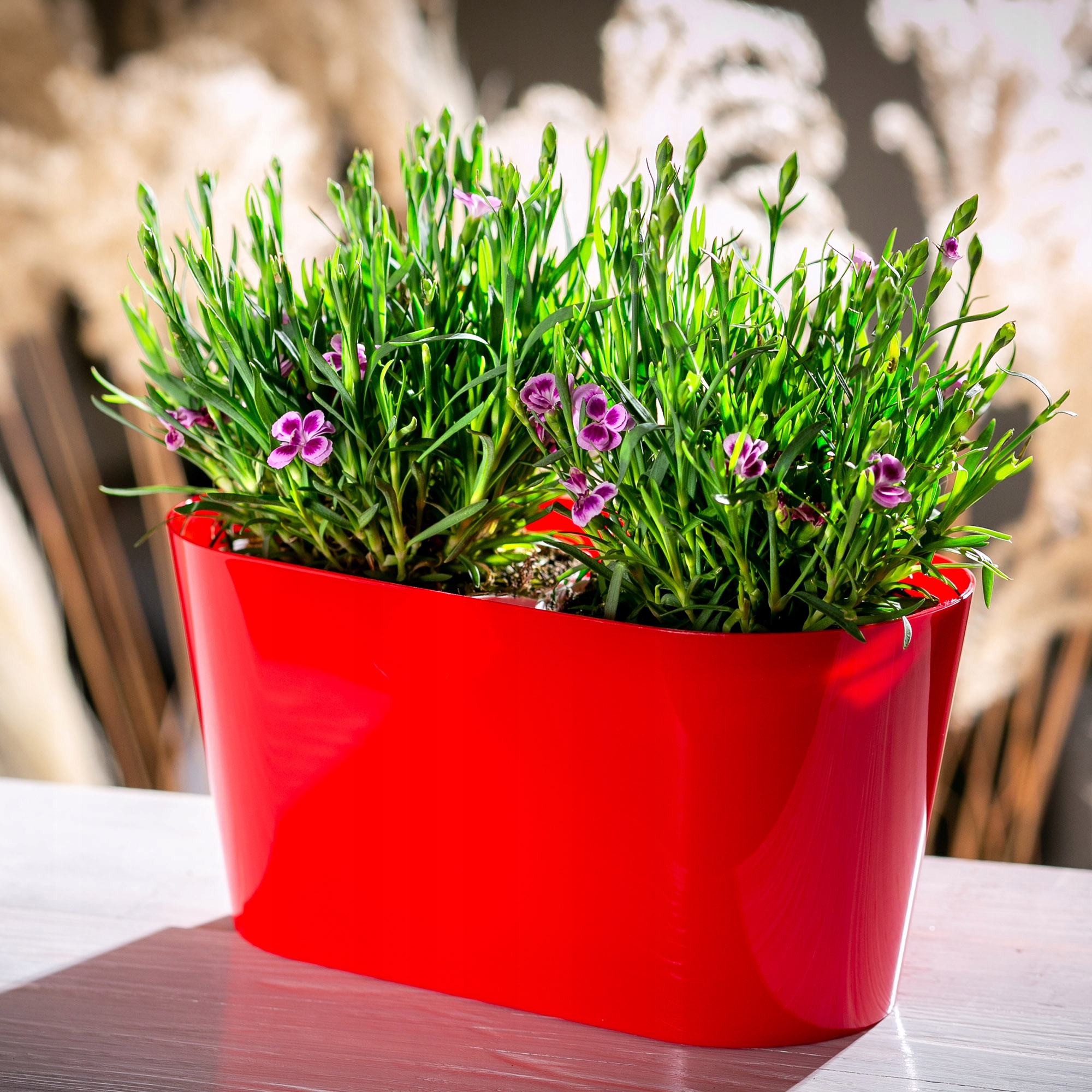 Doniczka na kwiaty owalna Pareti 27 cm, czerwona