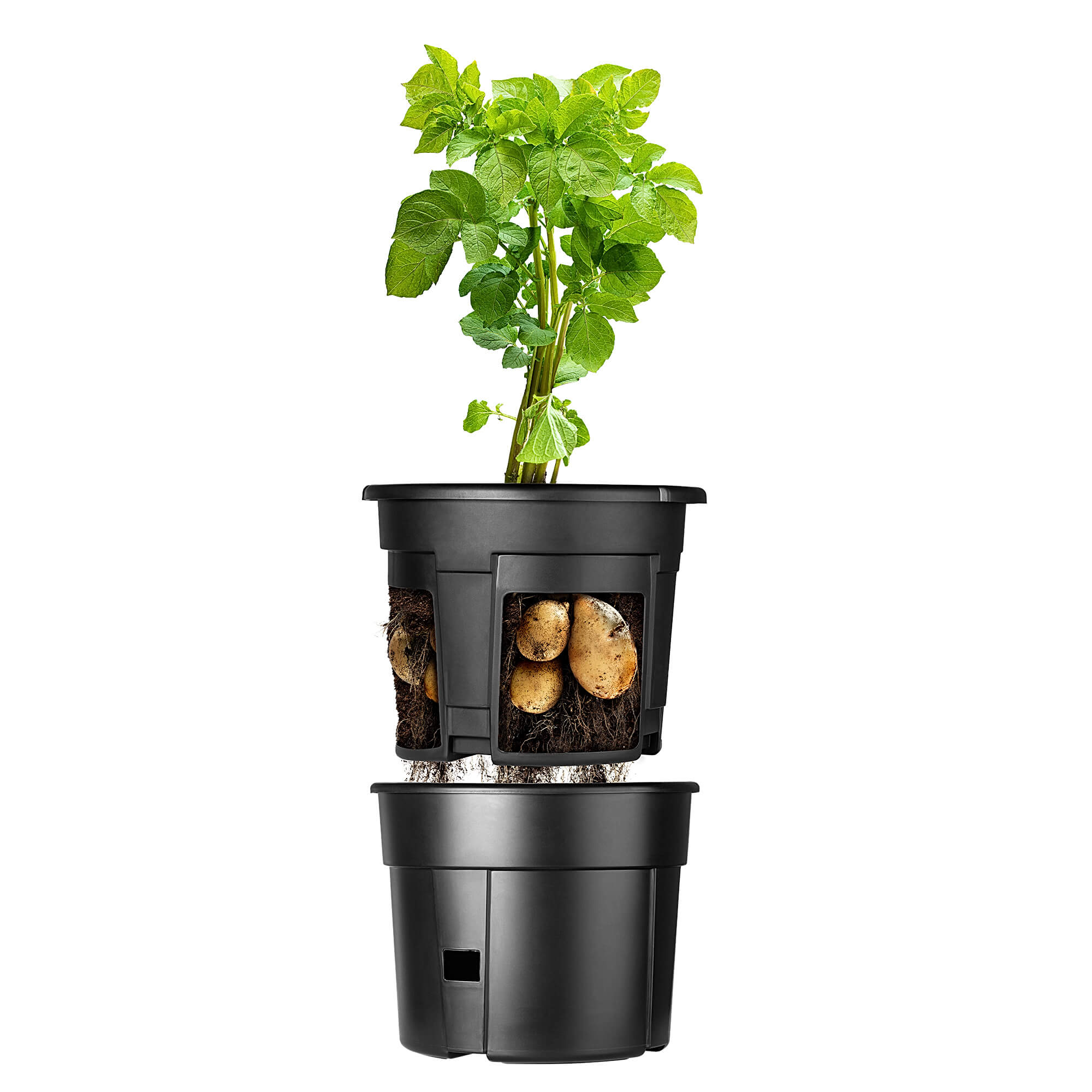 Doniczka do uprawy ziemniaków Patras 30cm, antracyt