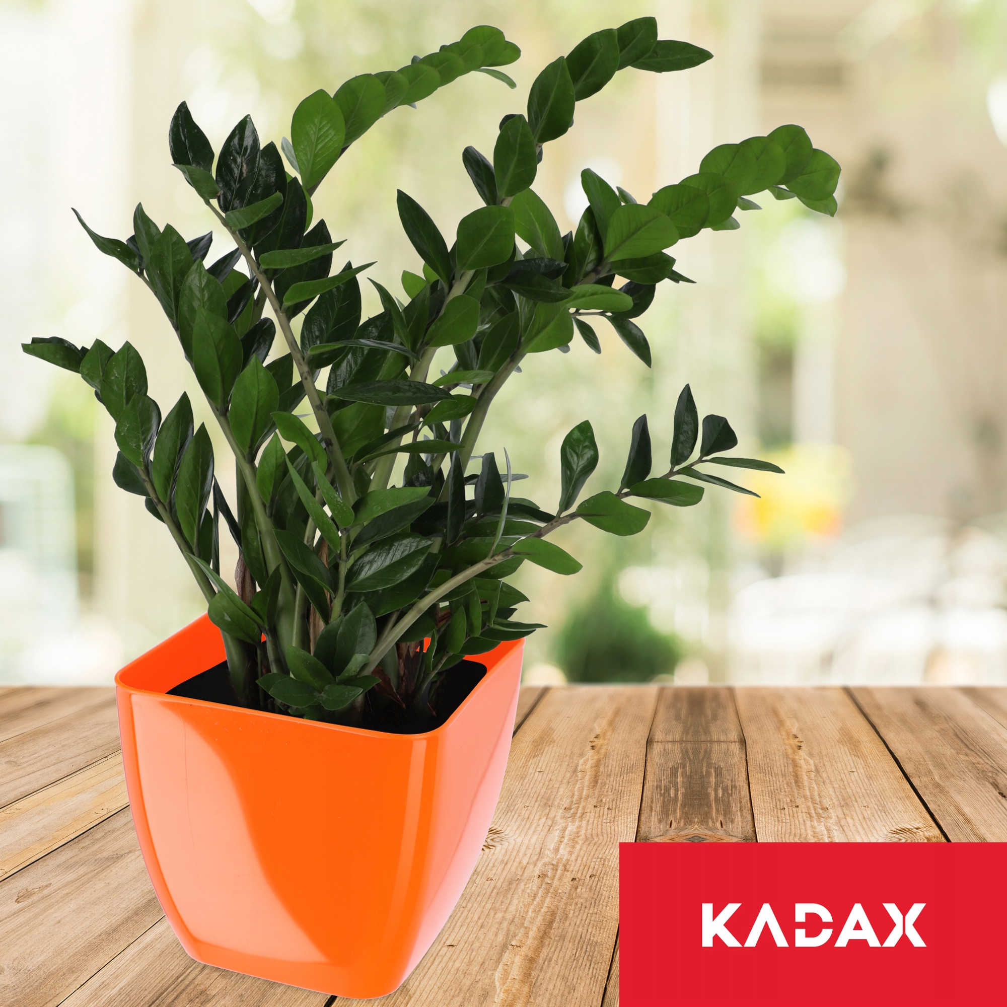 Doniczka kwadratowa Borgo 17 cm, pomarańczowa