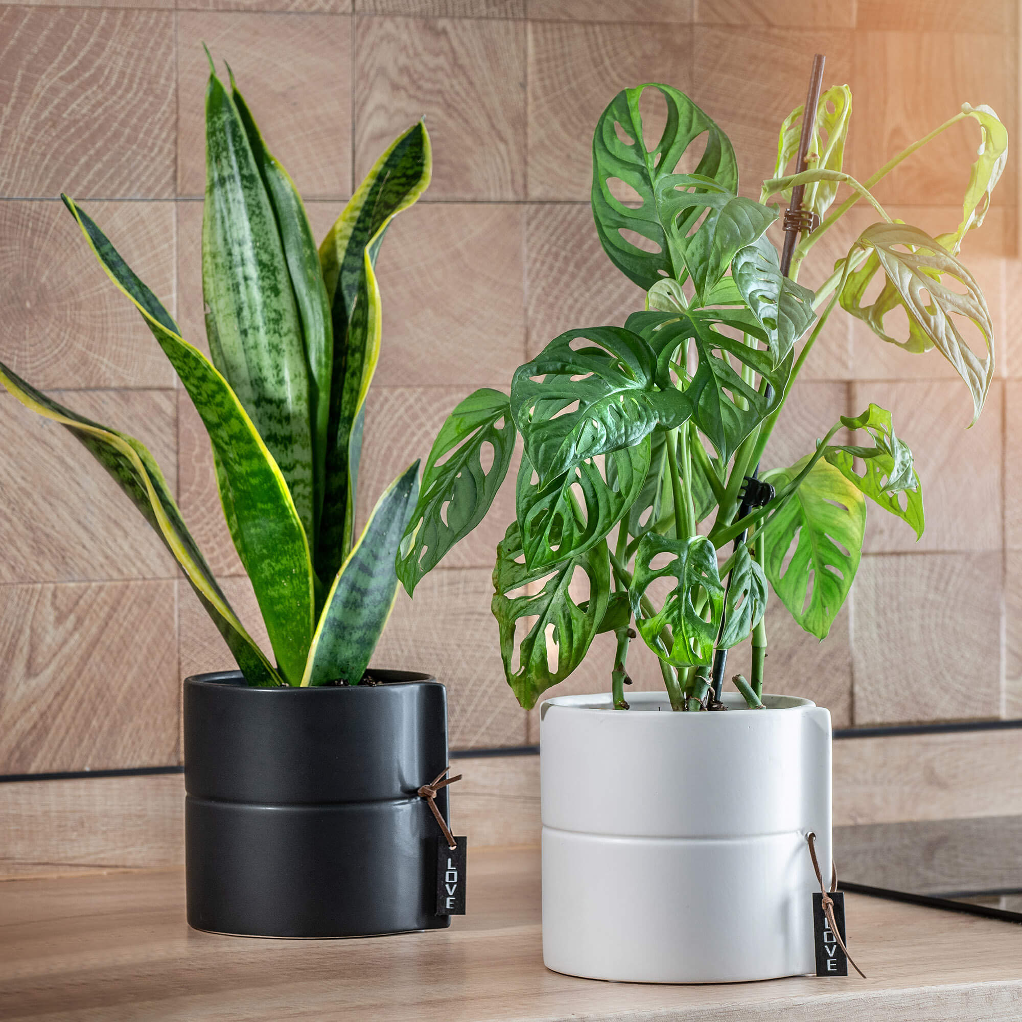 Osłonka na kwiaty Lemps ceramiczna 13 cm, czarna